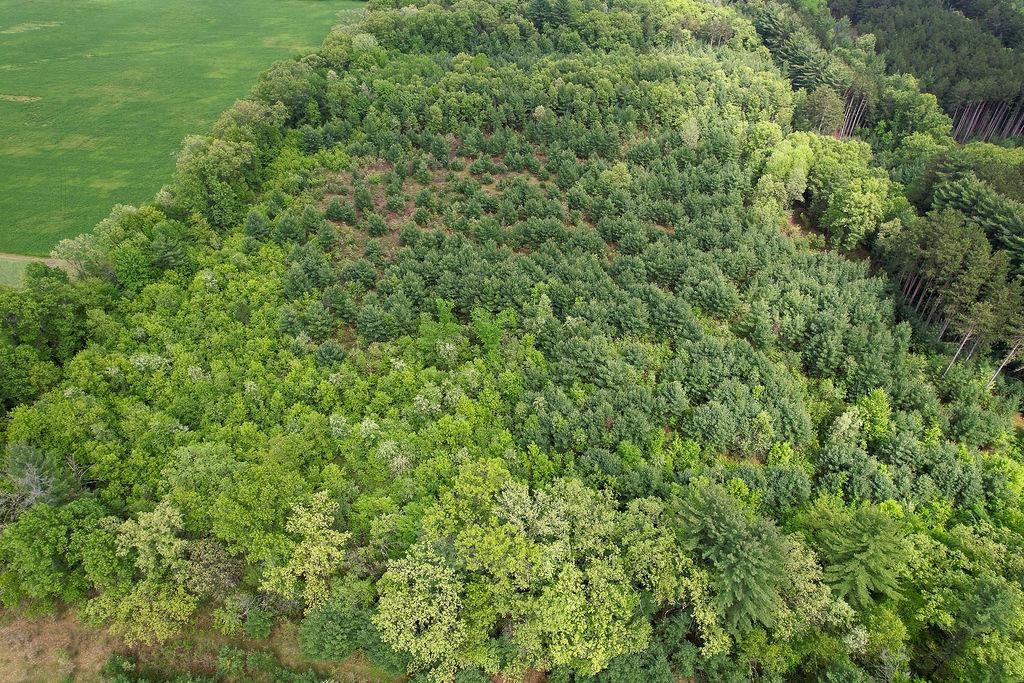 1124 Evergreen Court