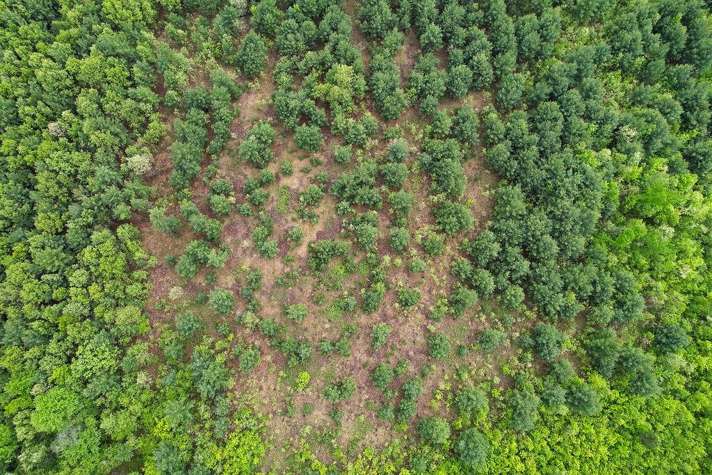 1124 Evergreen Court