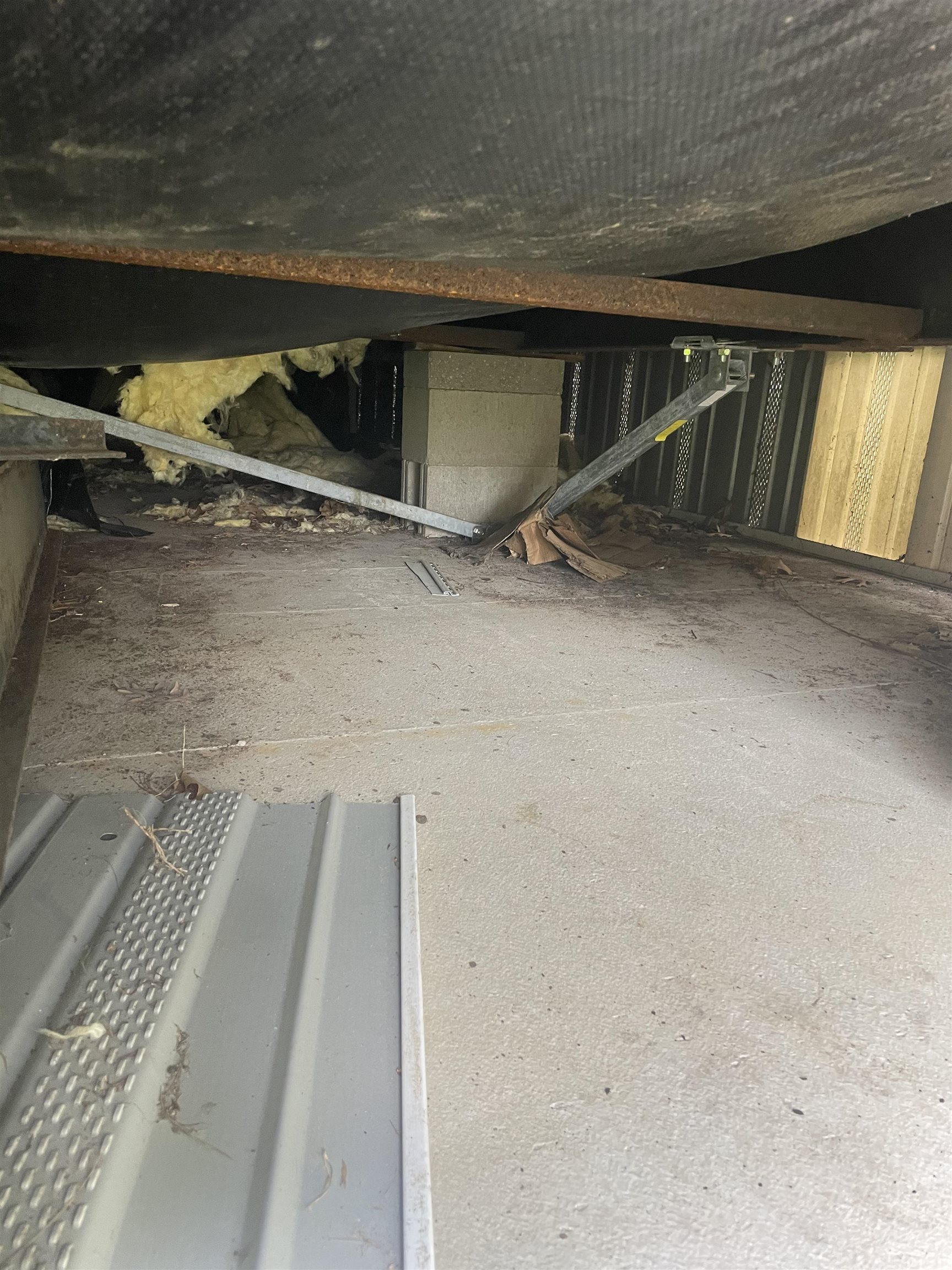 1124 Evergreen Court