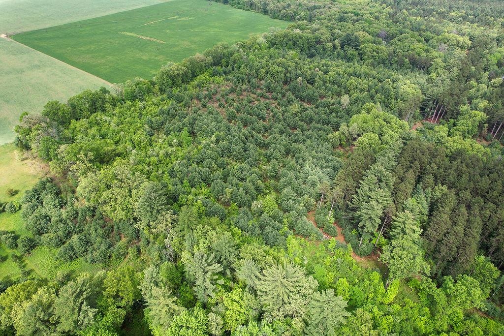 1124 Evergreen Court