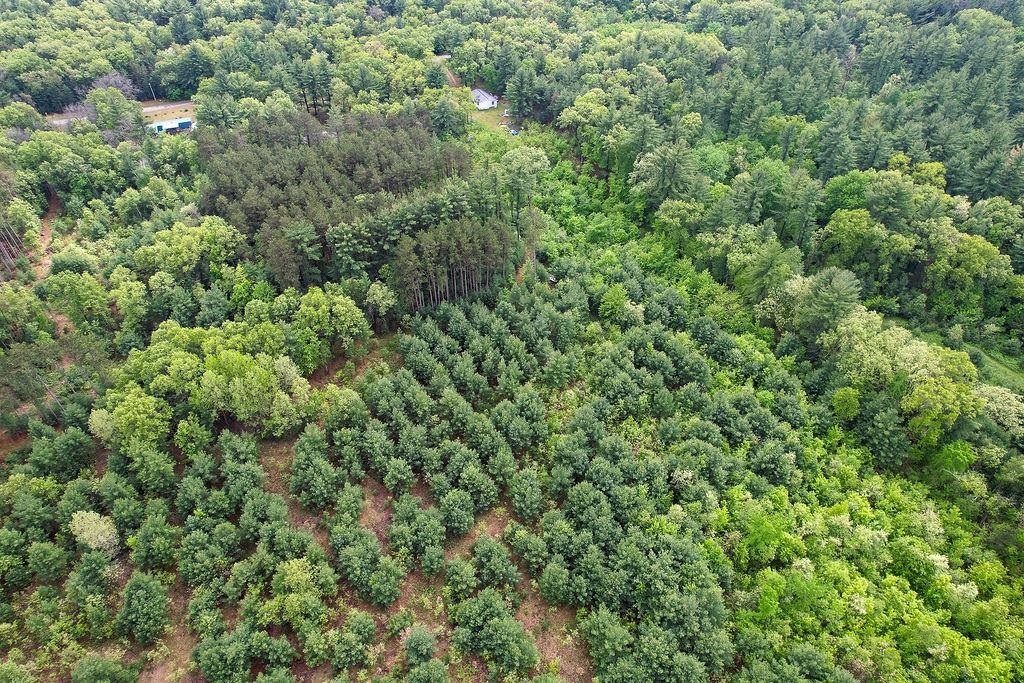 1124 Evergreen Court