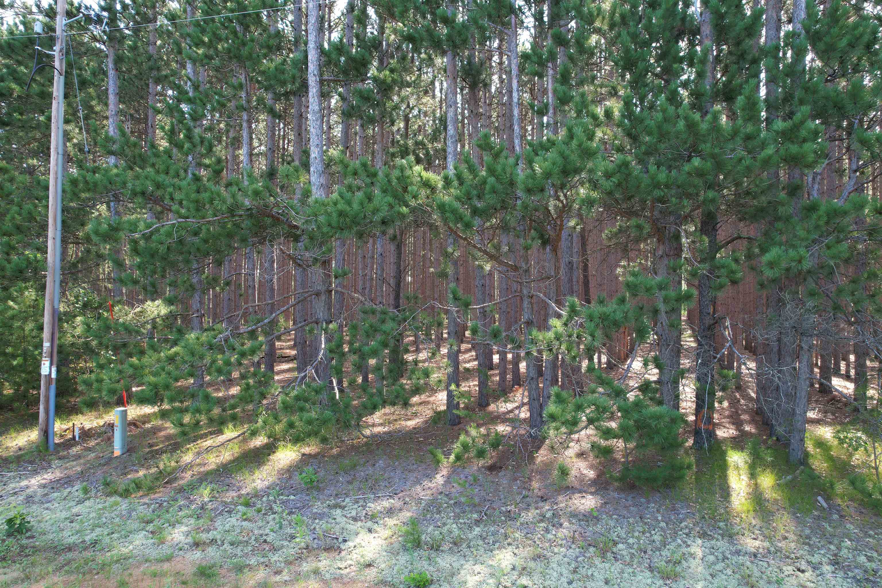 Parcel 42 Pinecone Court