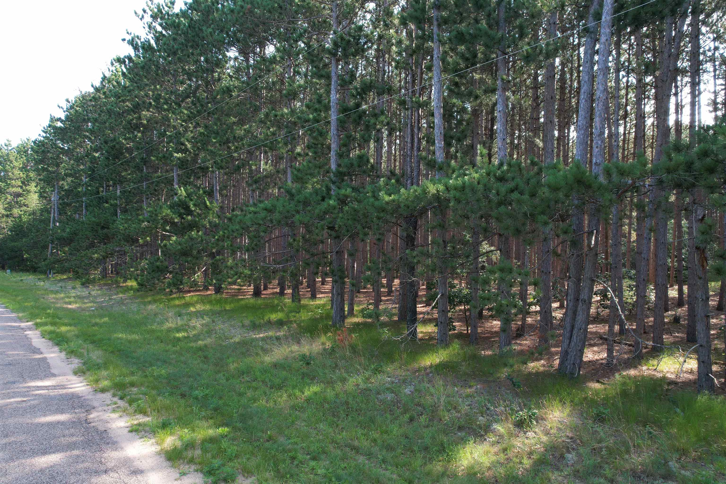 Parcel 42 Pinecone Court