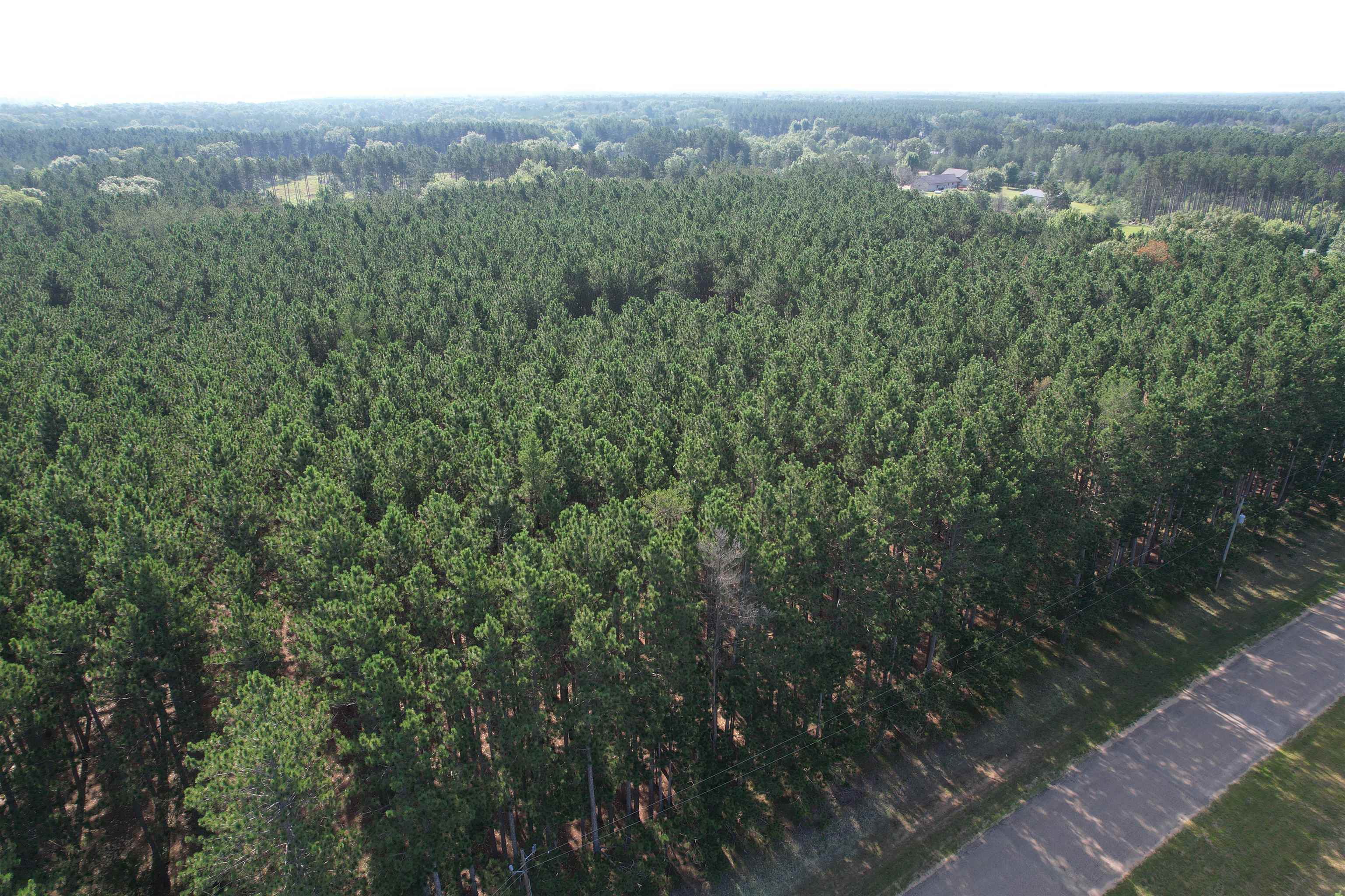Parcel 42 Pinecone Court