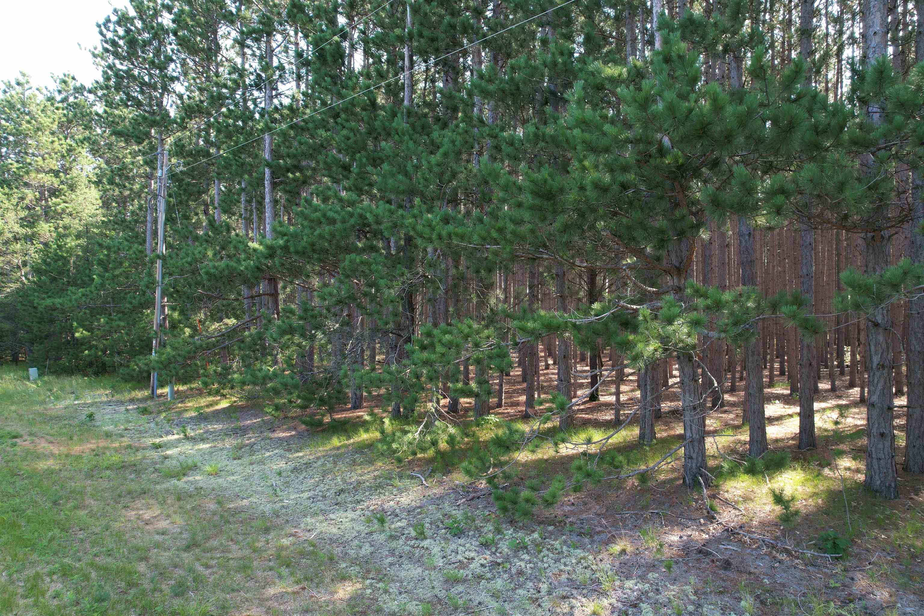 Parcel 42 Pinecone Court