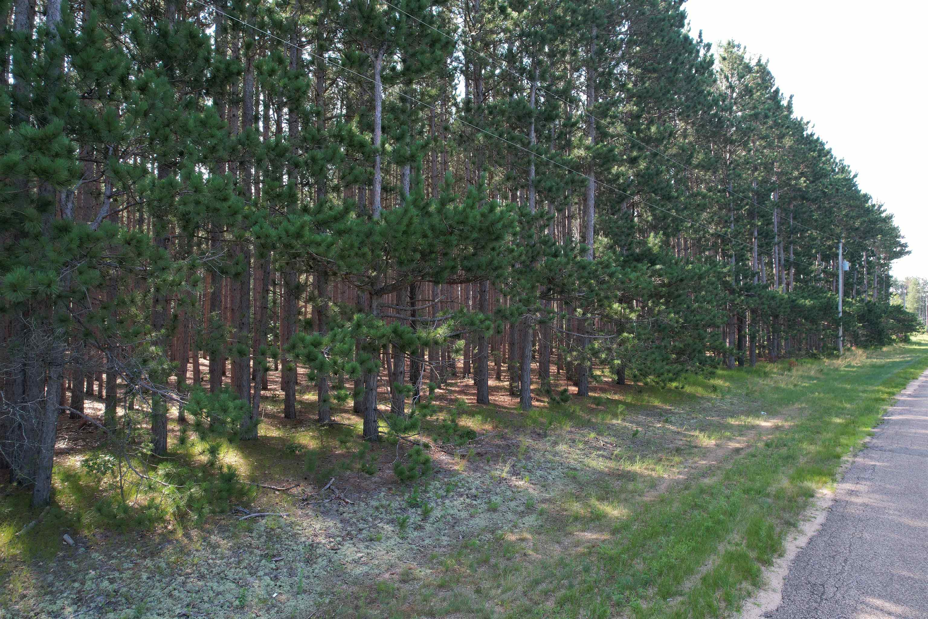 Parcel 42 Pinecone Court