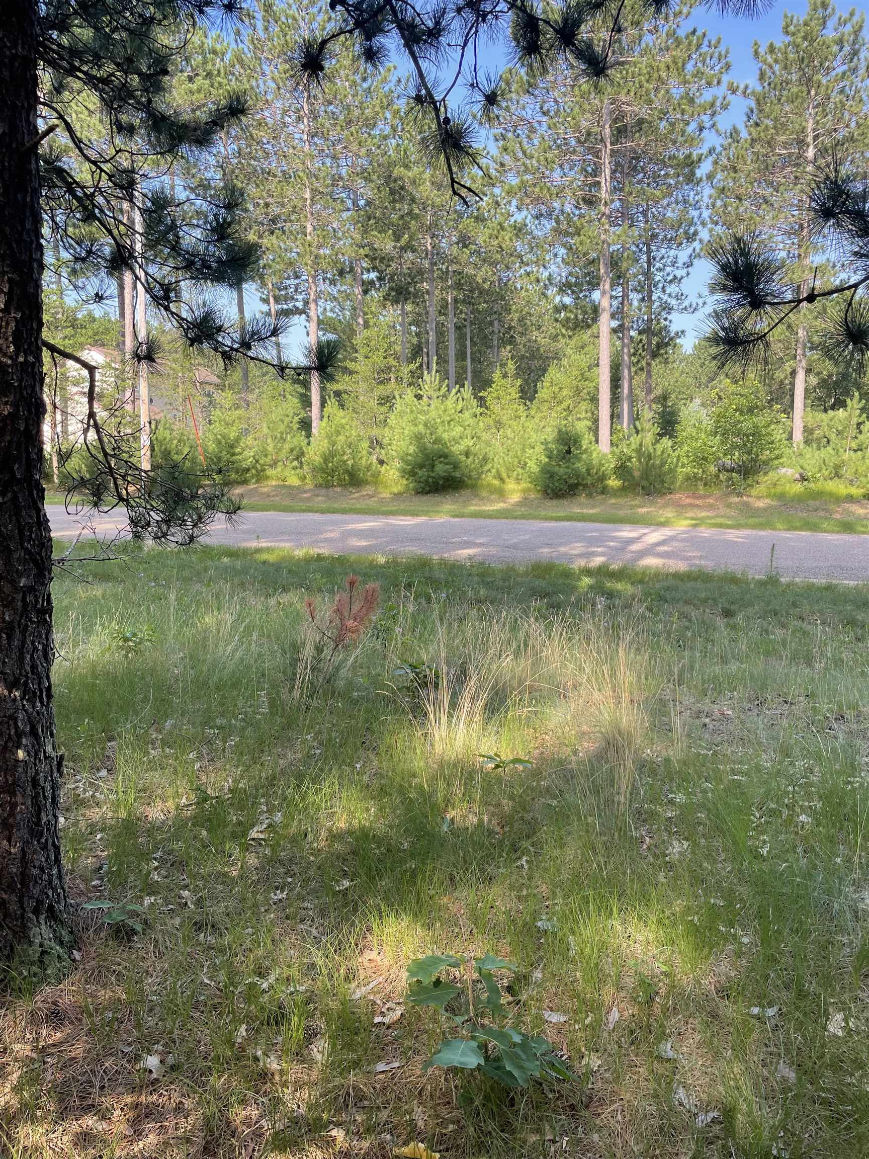 Parcel 42 Pinecone Court