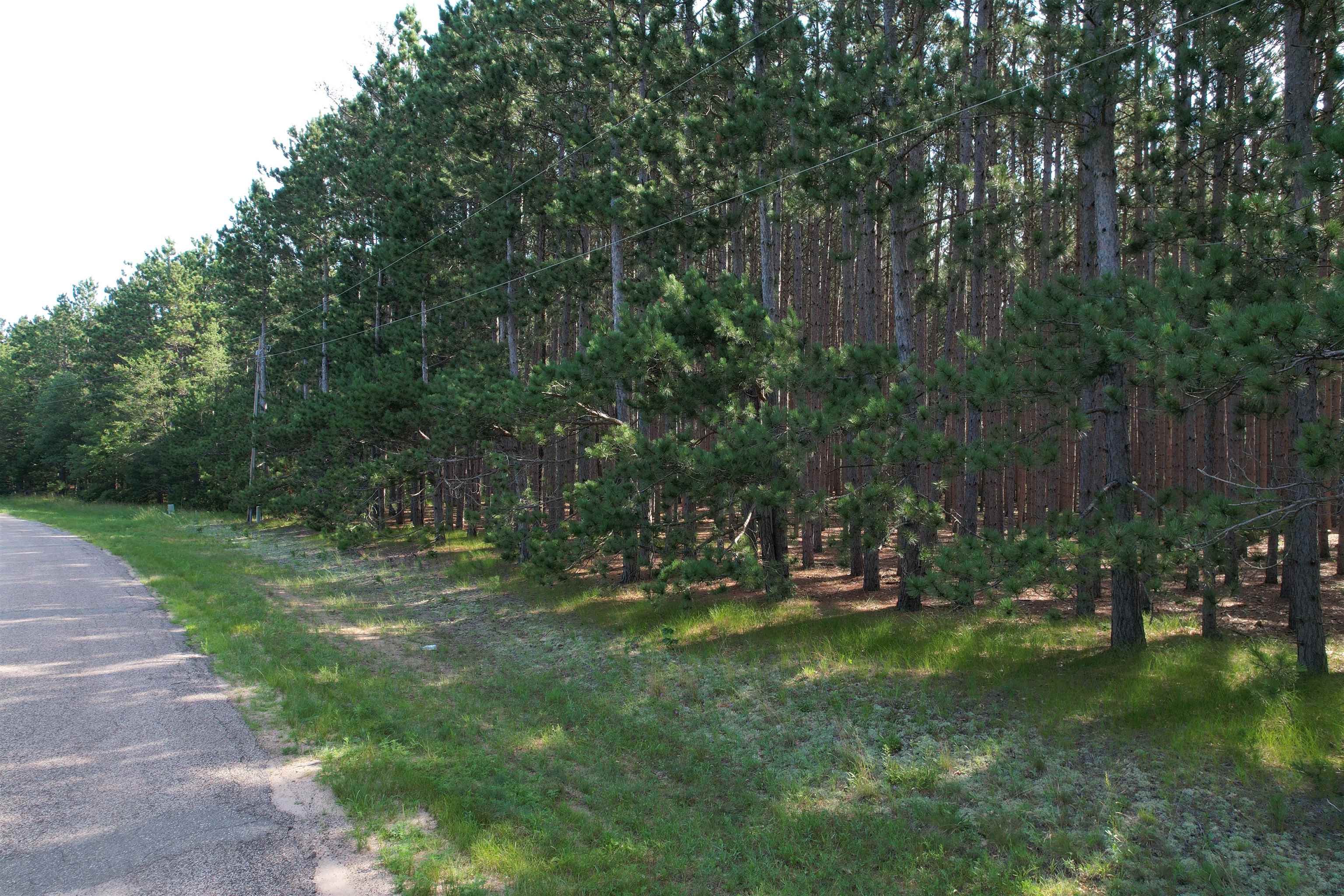 Parcel 42 Pinecone Court