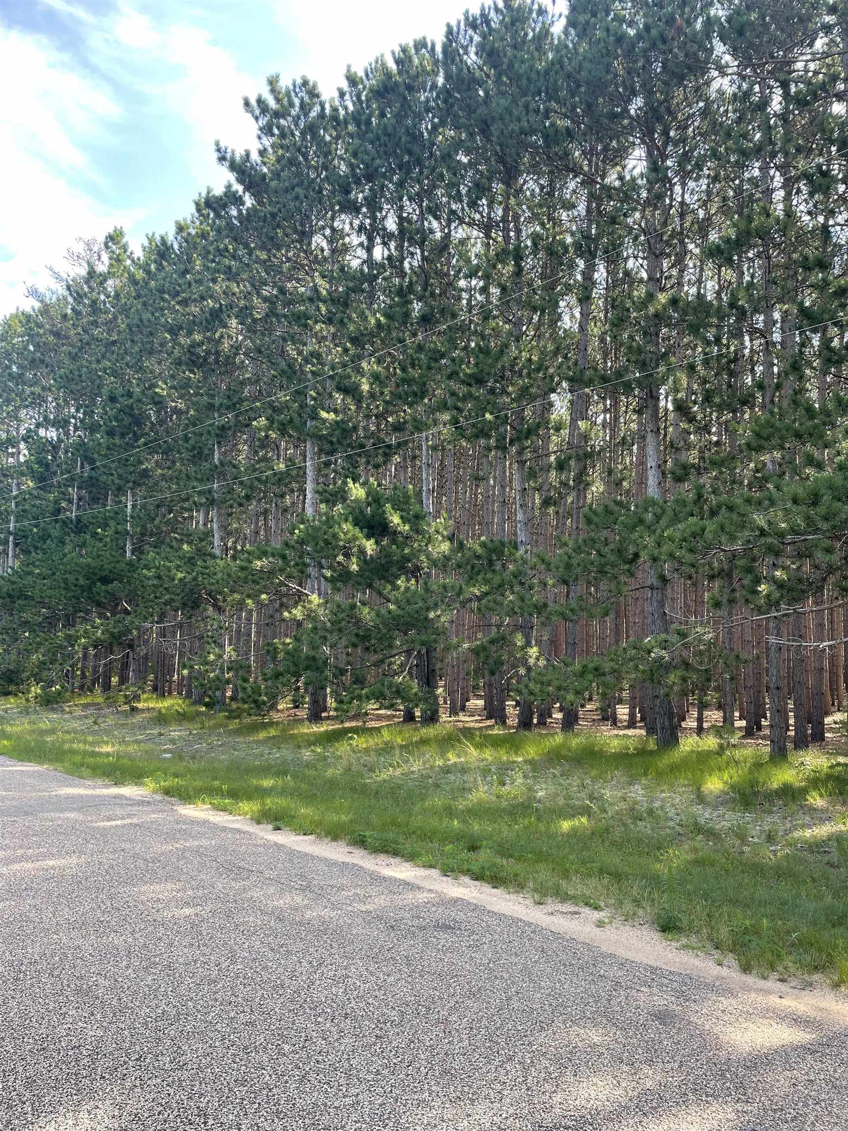 Parcel 42 Pinecone Court