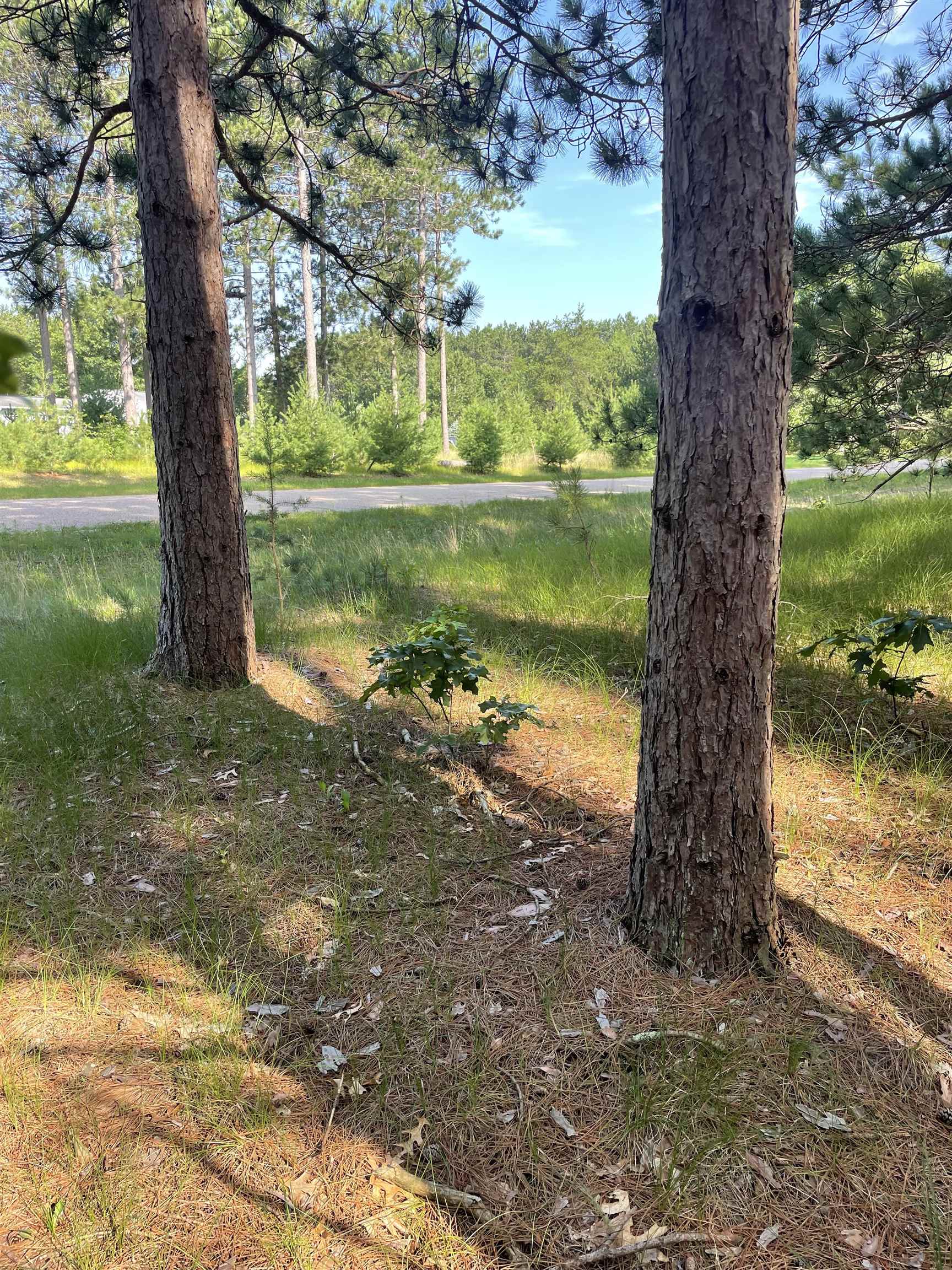 Parcel 42 Pinecone Court