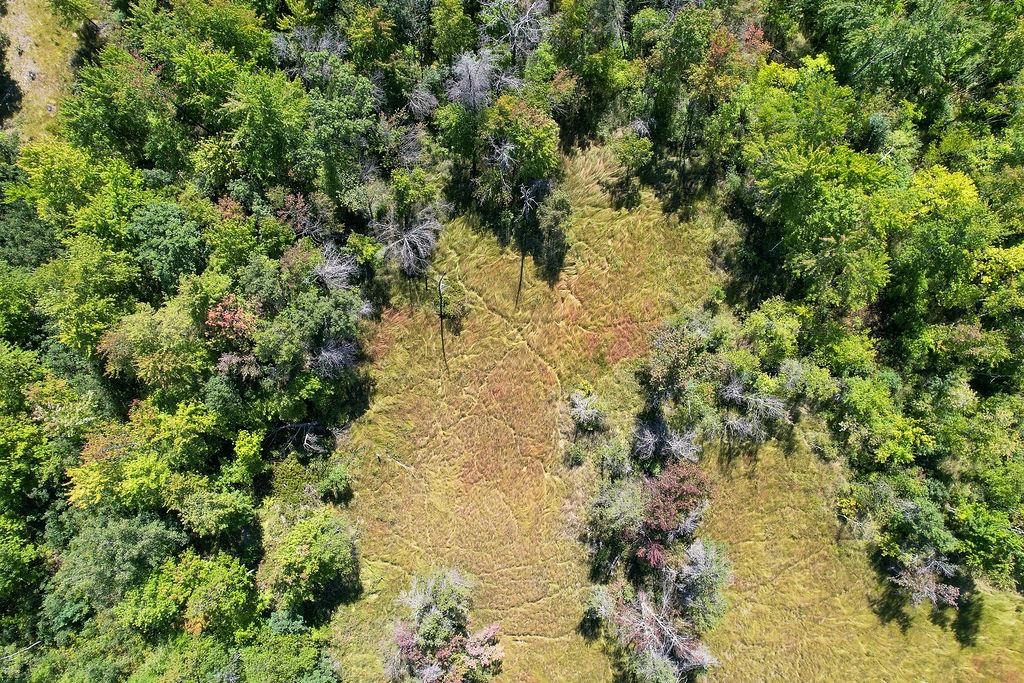 Lot 1 15th Avenue