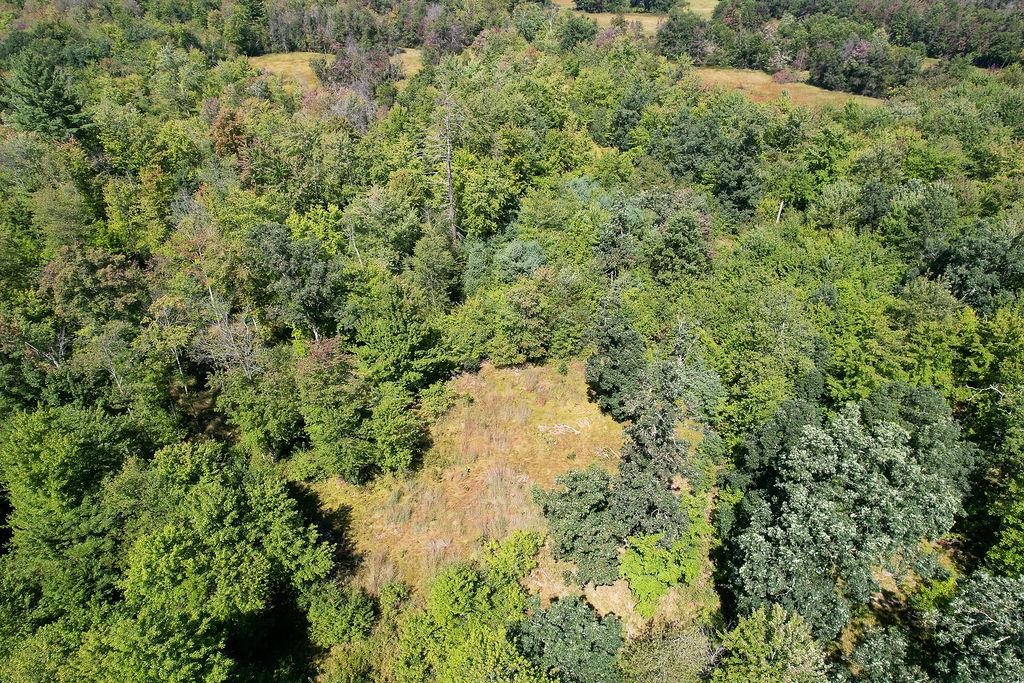 Lot 1 15th Avenue