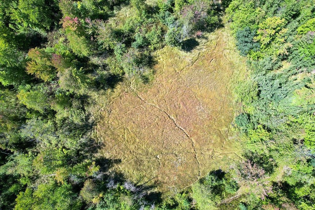 Lot 1 15th Avenue