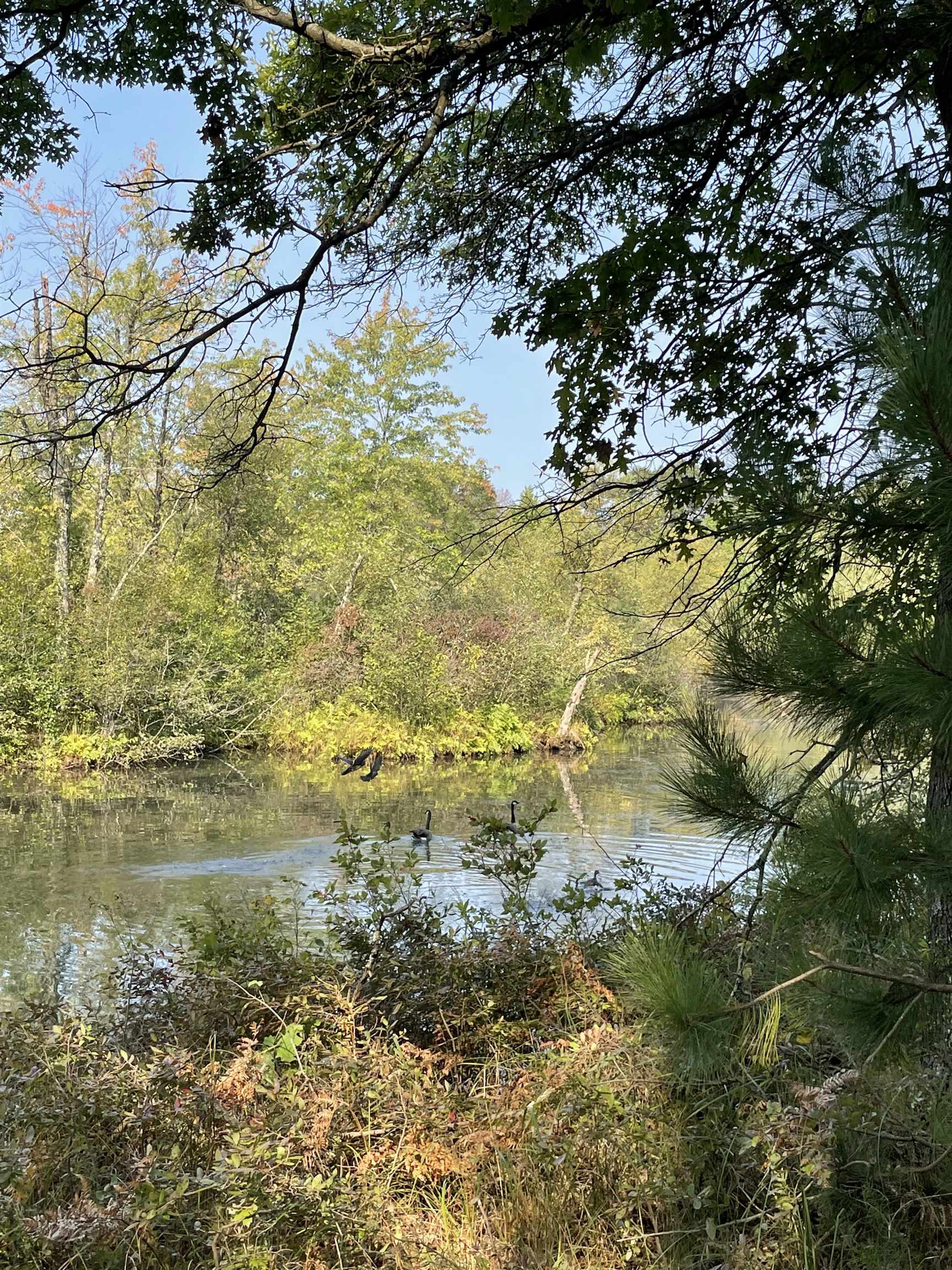 Lot 13 Waterstone Development