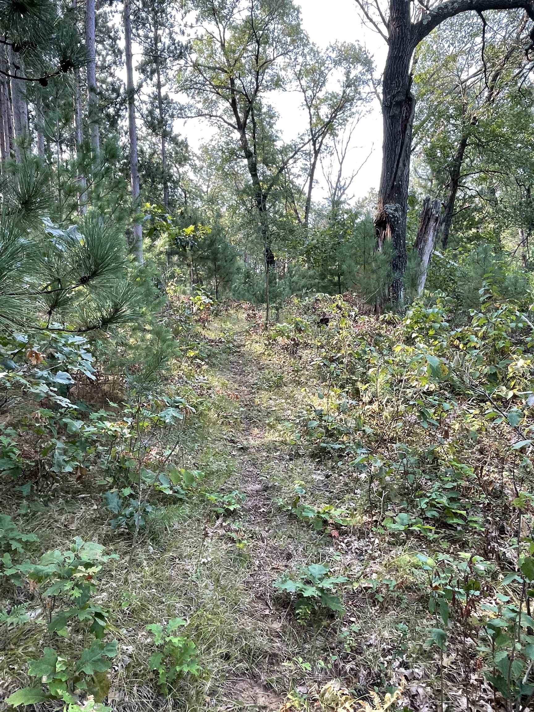 Lot 13 Waterstone Development