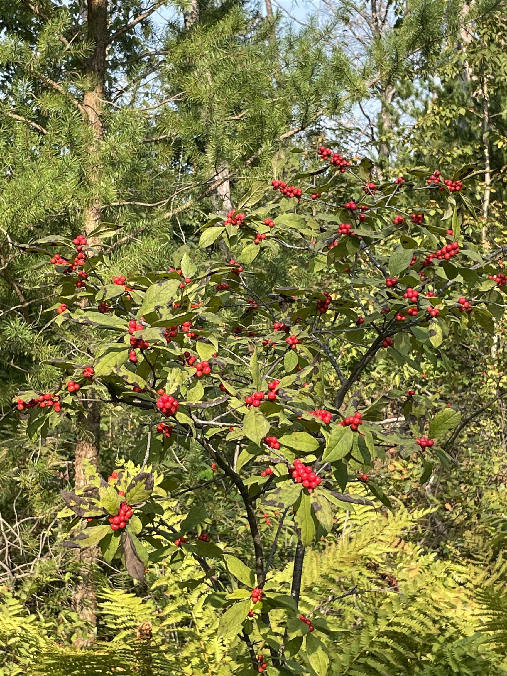 Lot 13 Waterstone Development