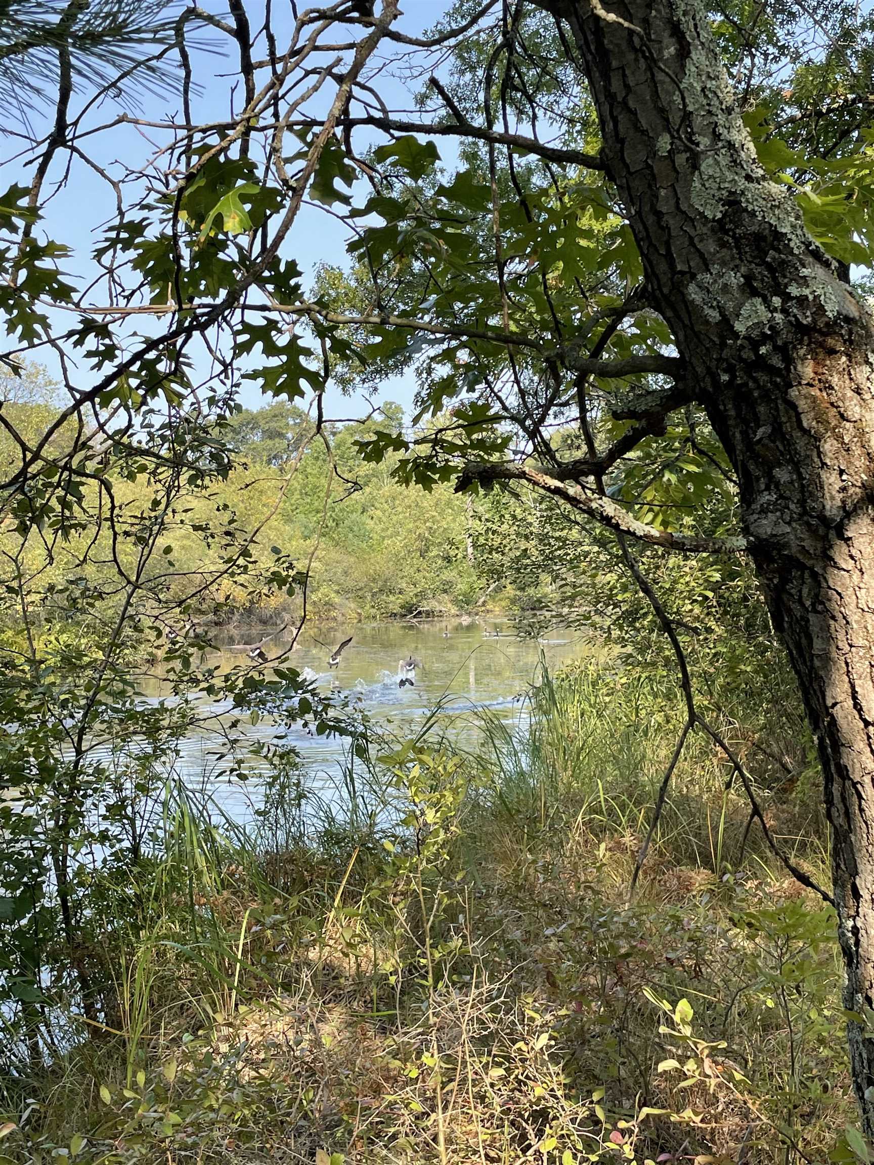 Lot 13 Waterstone Development