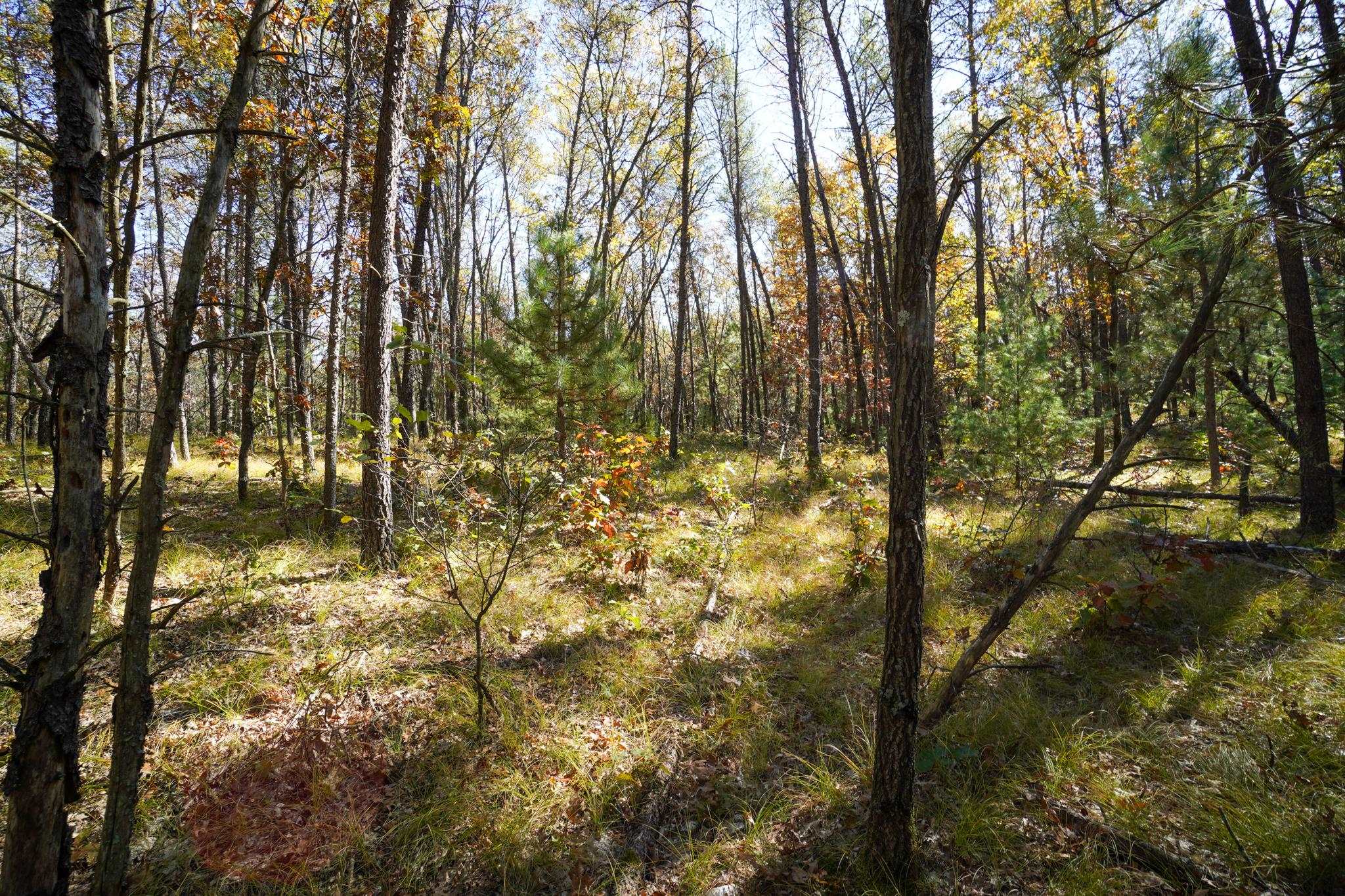Lot 32 Koval Road