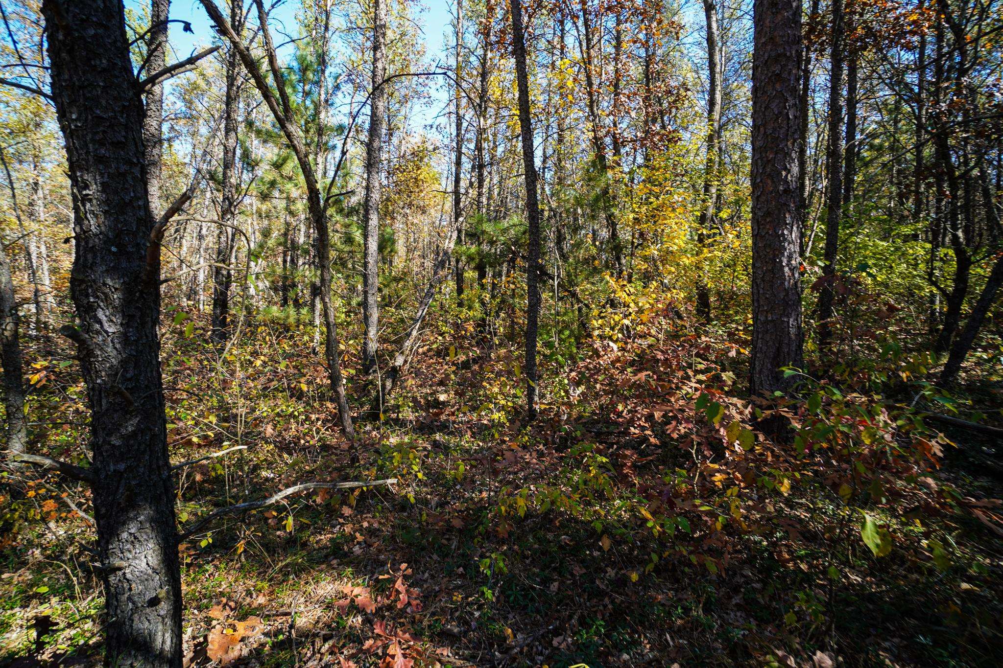 Lot 32 Koval Road