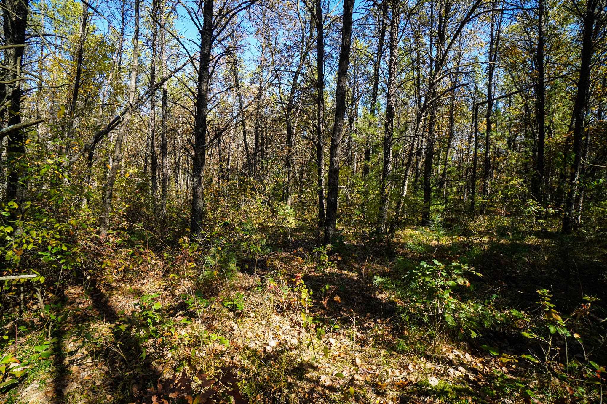 Lot 32 Koval Road