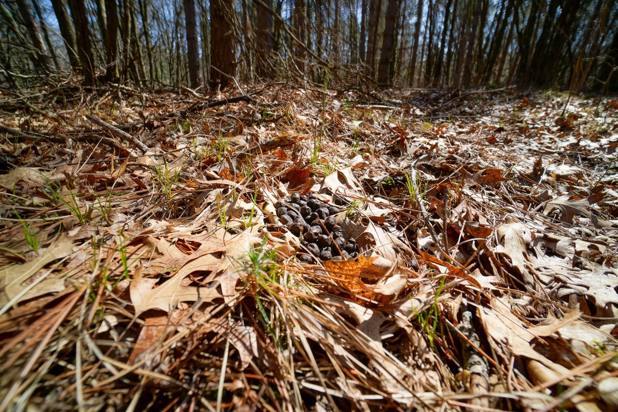 N14432 County Road G