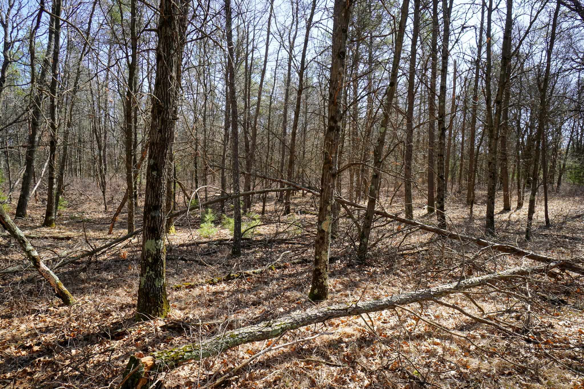 N14432 County Road G