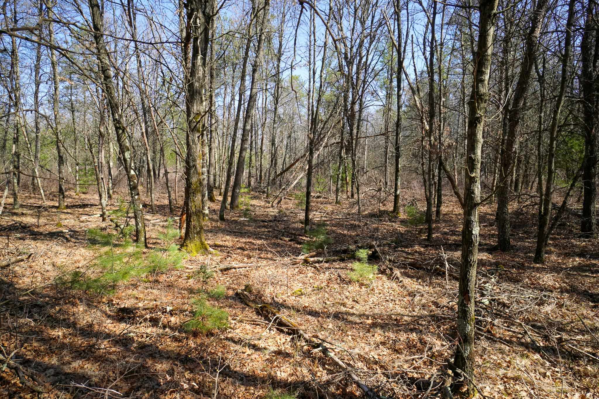 N14432 County Road G