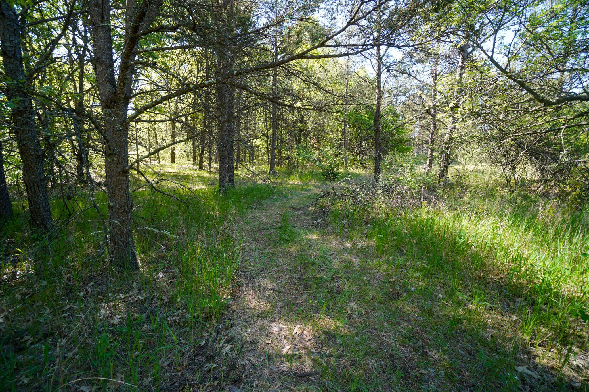 1.40 acres Buckeye