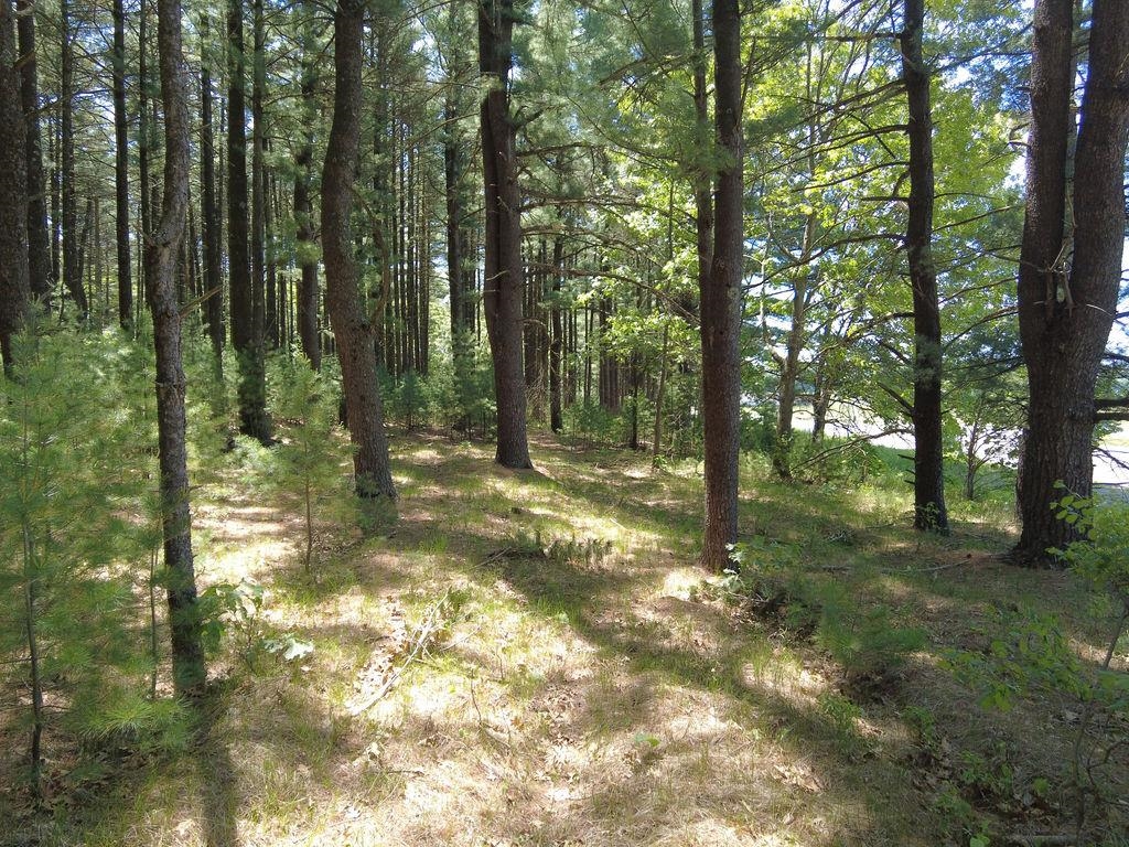 Lot 3 and 4 Cty Road A