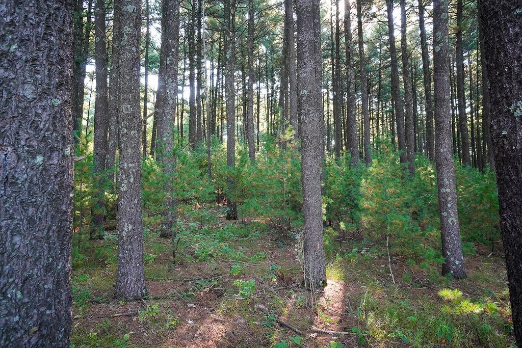 Lot 3 and 4 Cty Road A