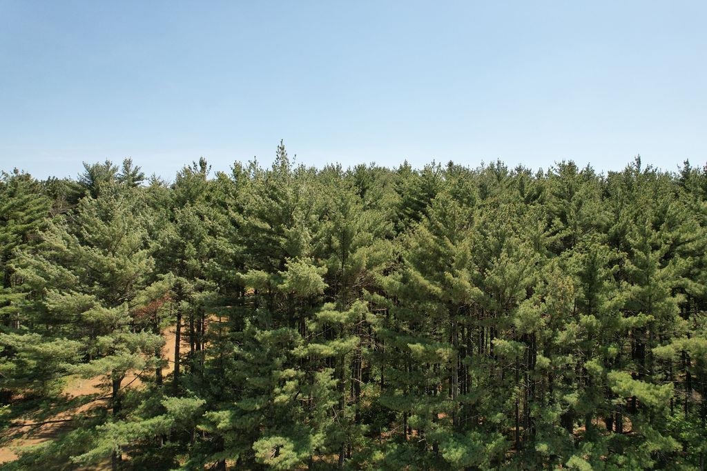 Lot 3 and 4 Cty Road A