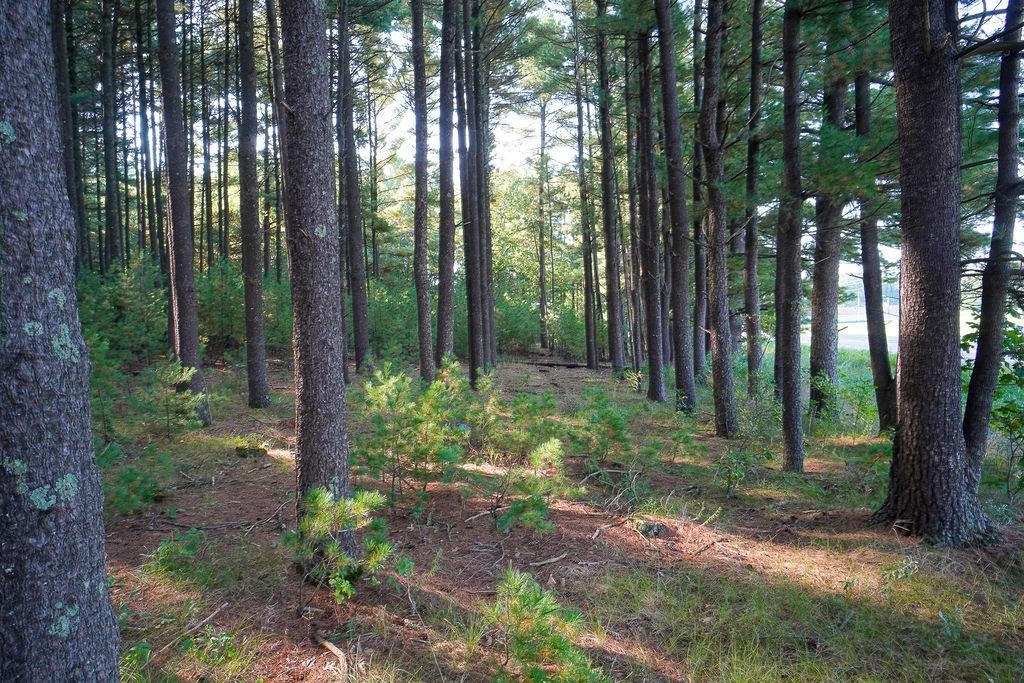 Lot 3 and 4 Cty Road A