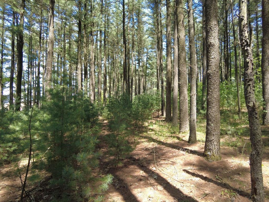 Lot 3 and 4 Cty Road A