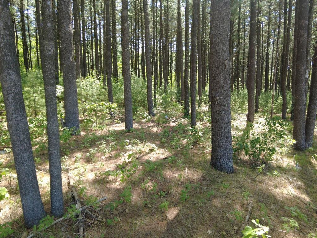 Lot 3 and 4 Cty Road A