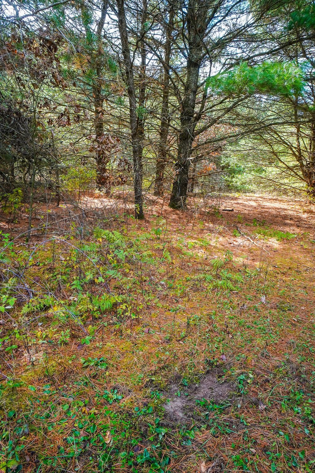 E8359 County Road H