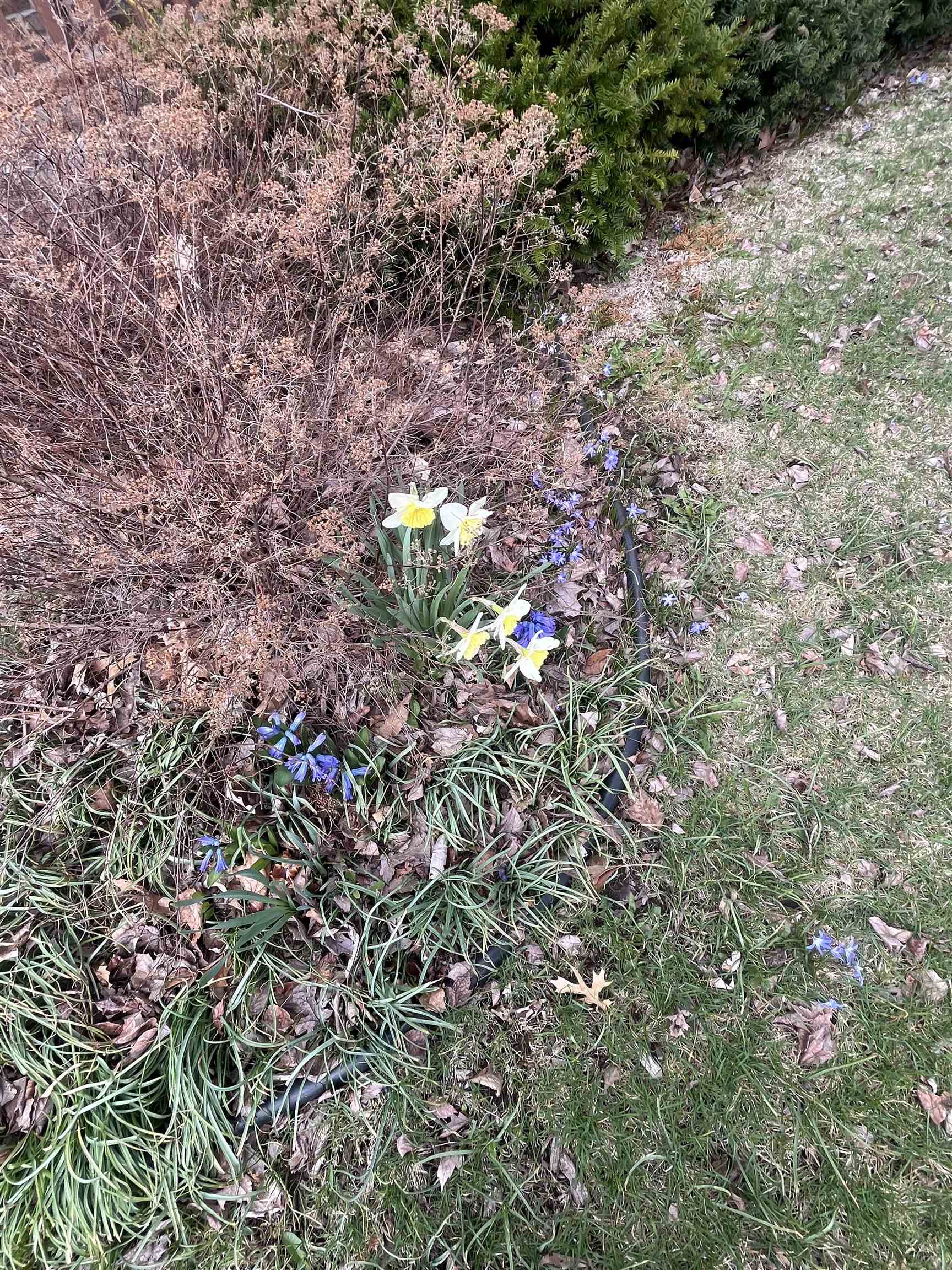 5648 Silver Oak Drive