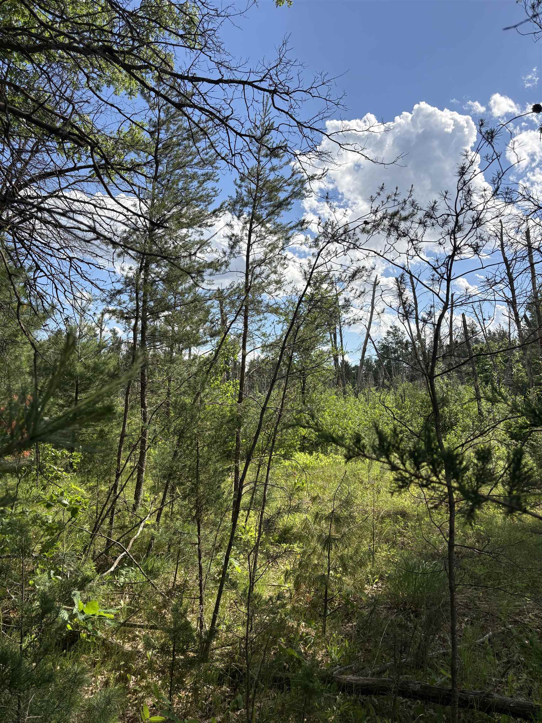 1369 County Road C