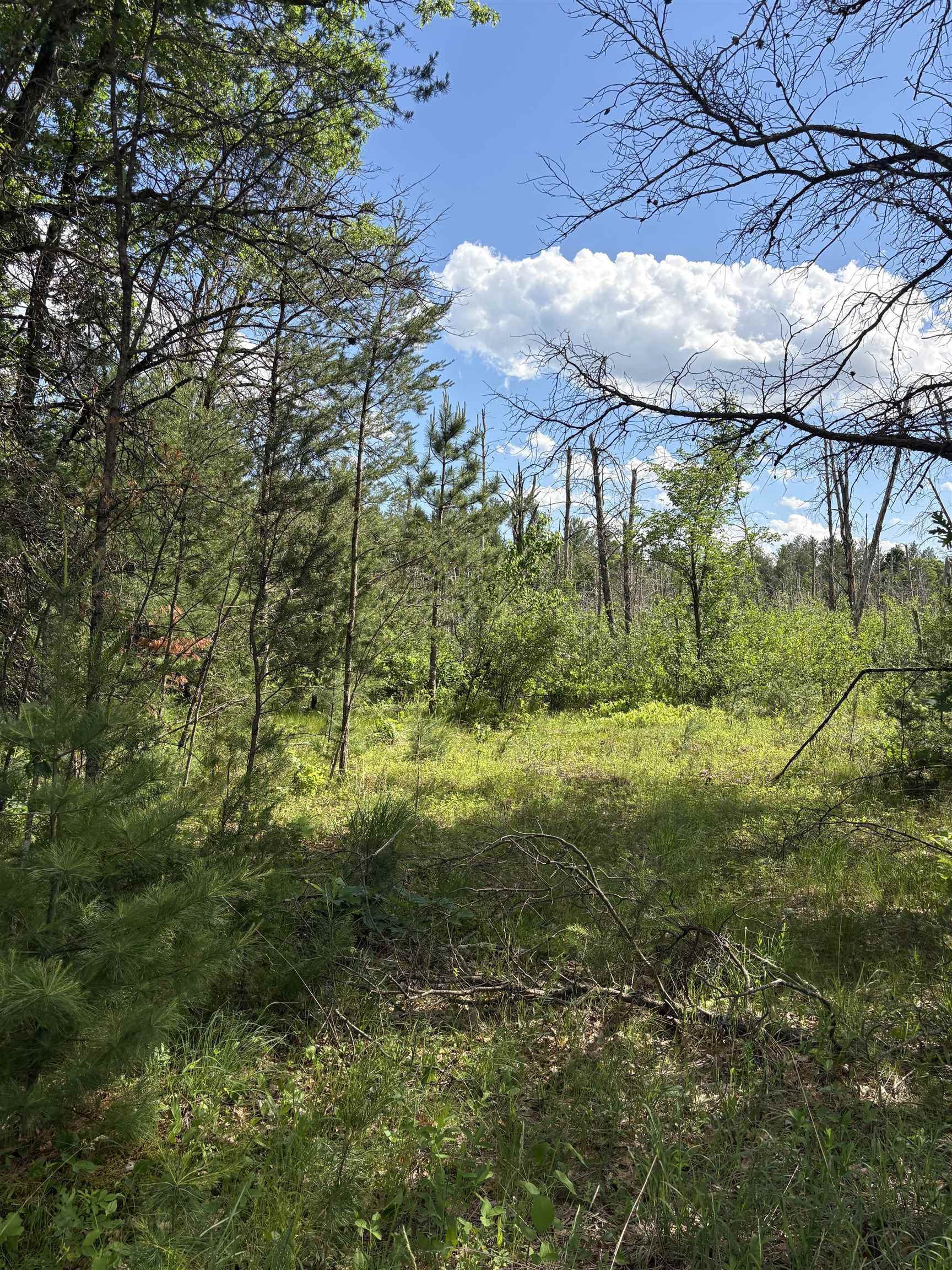 1369 County Road C