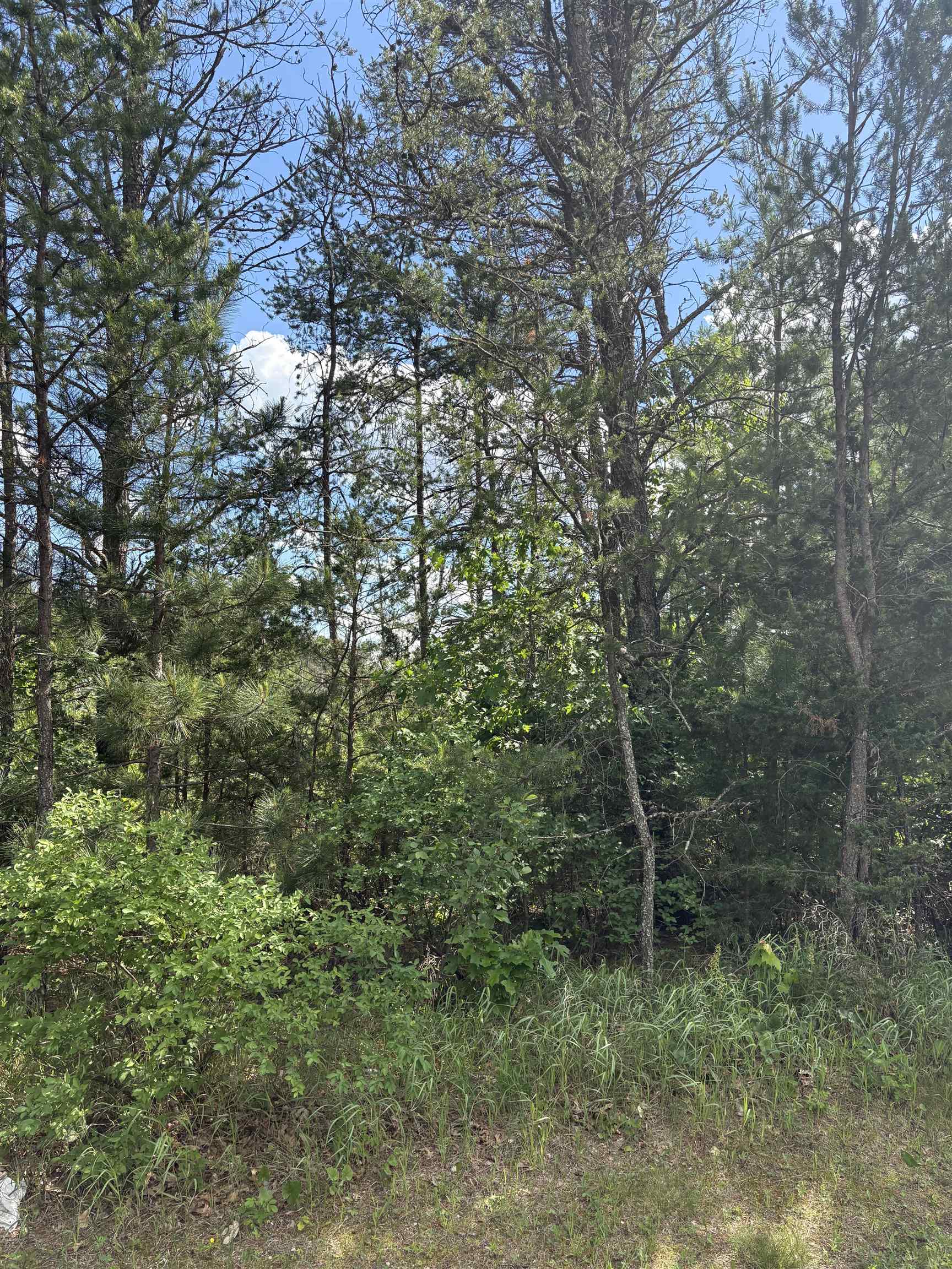 1369 County Road C