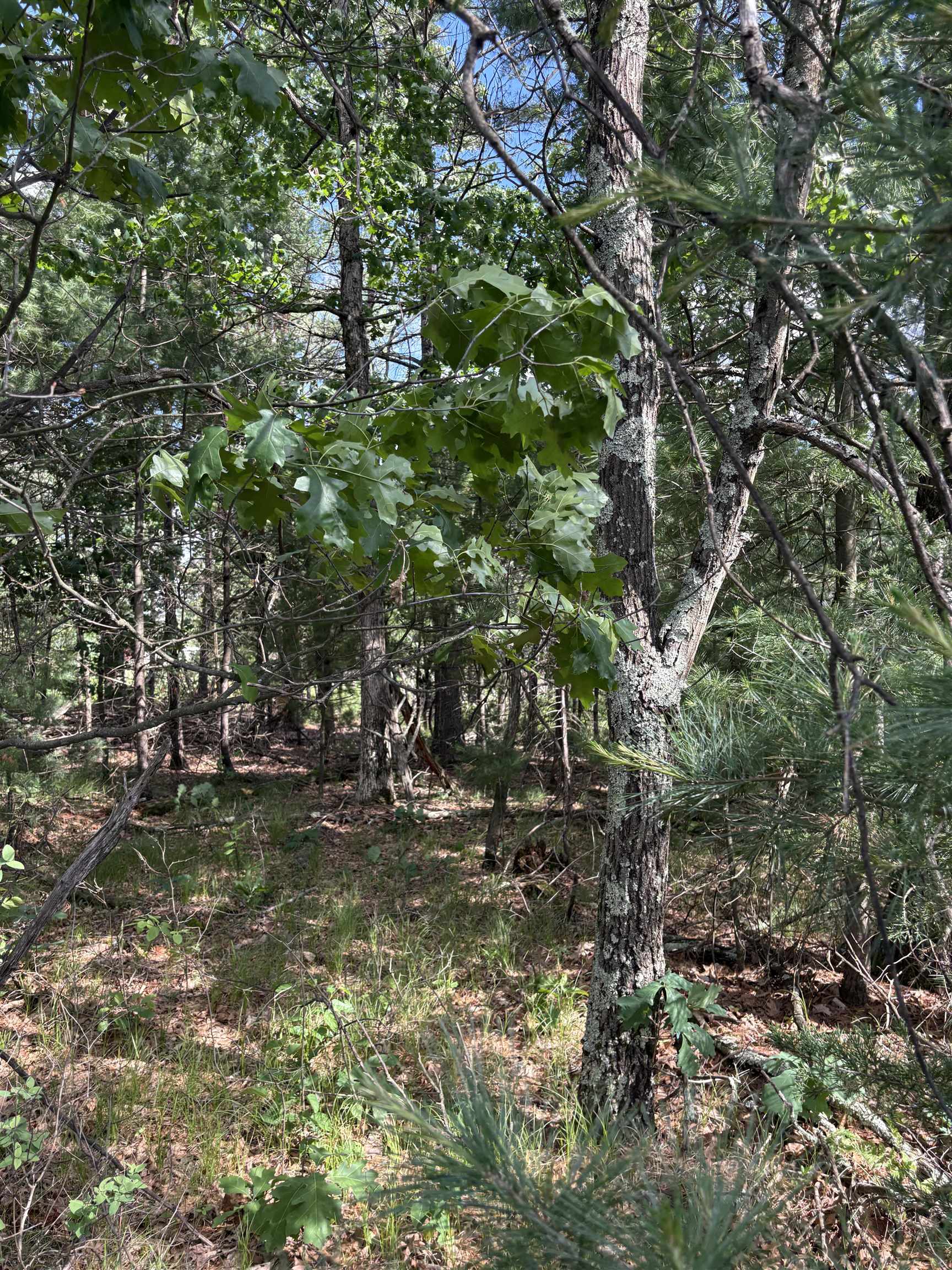 1369 County Road C