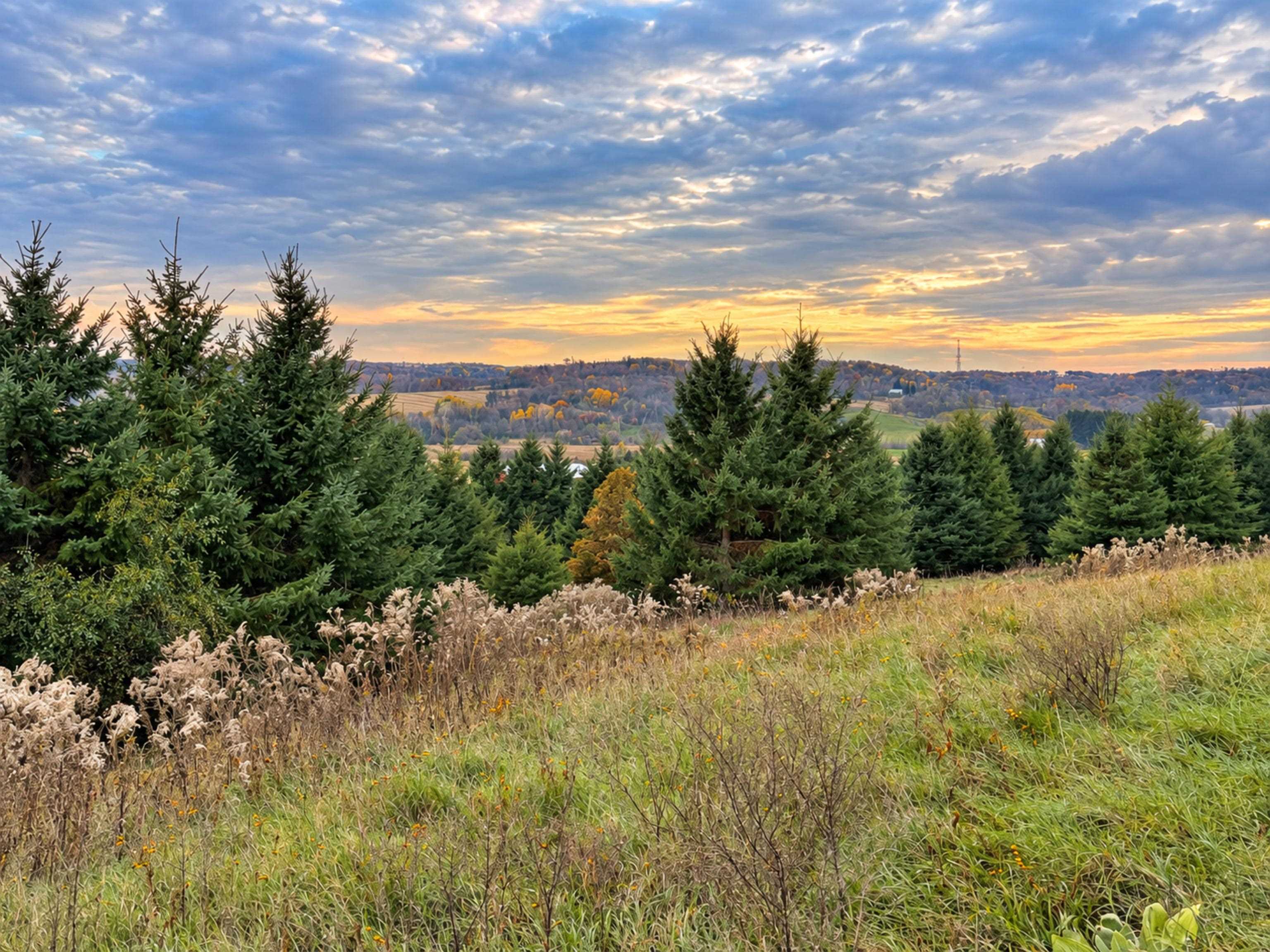 35 acres Outlook Road Road
