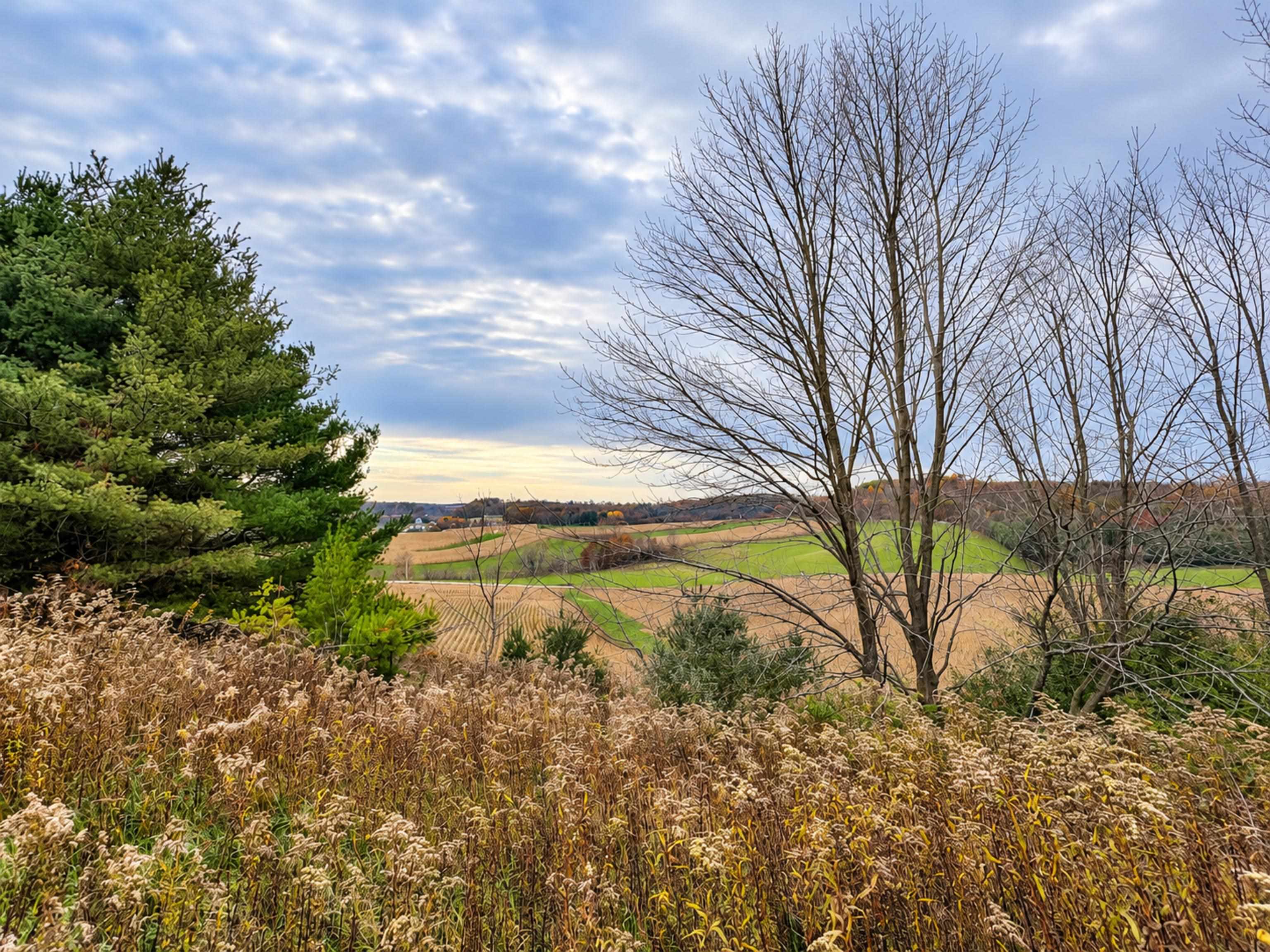 35 acres Outlook Road Road