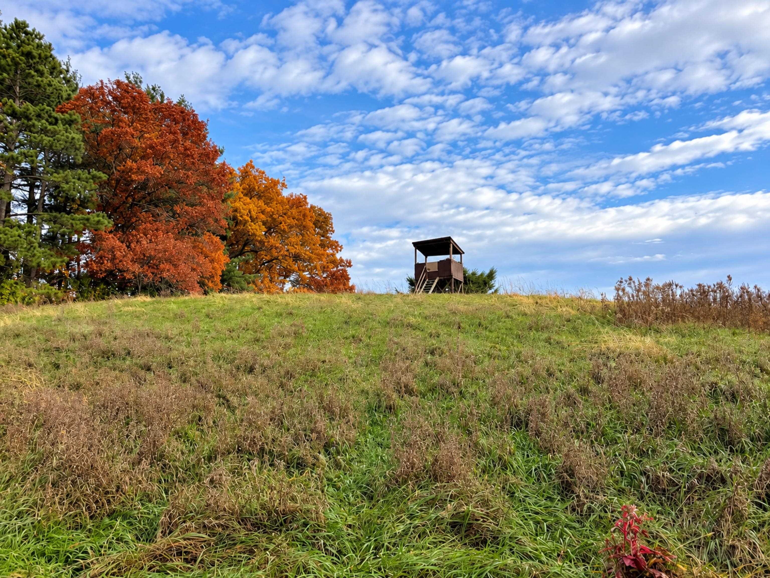 35 acres Outlook Road Road