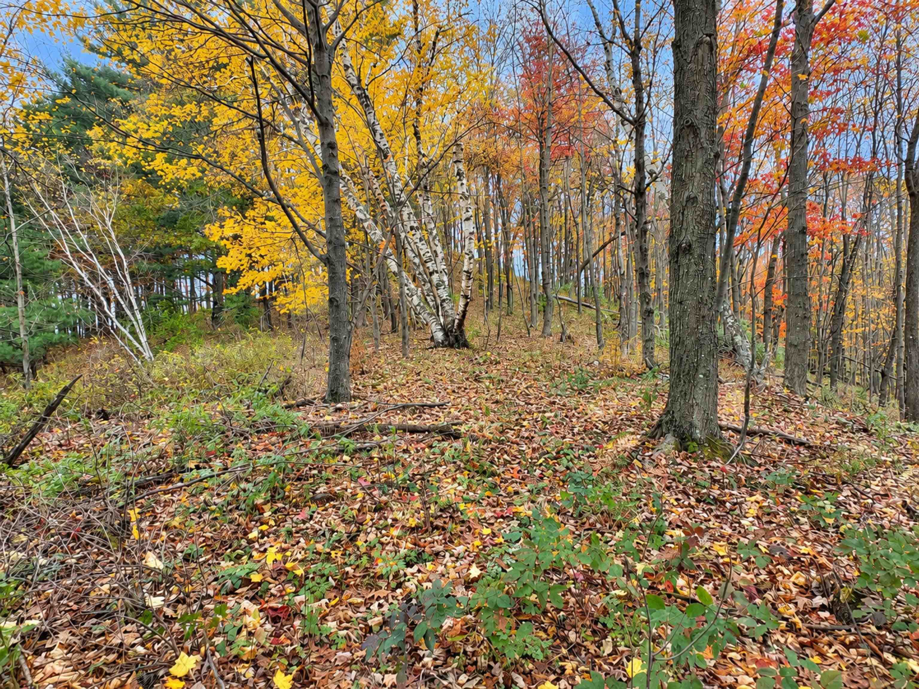 35 acres Outlook Road Road