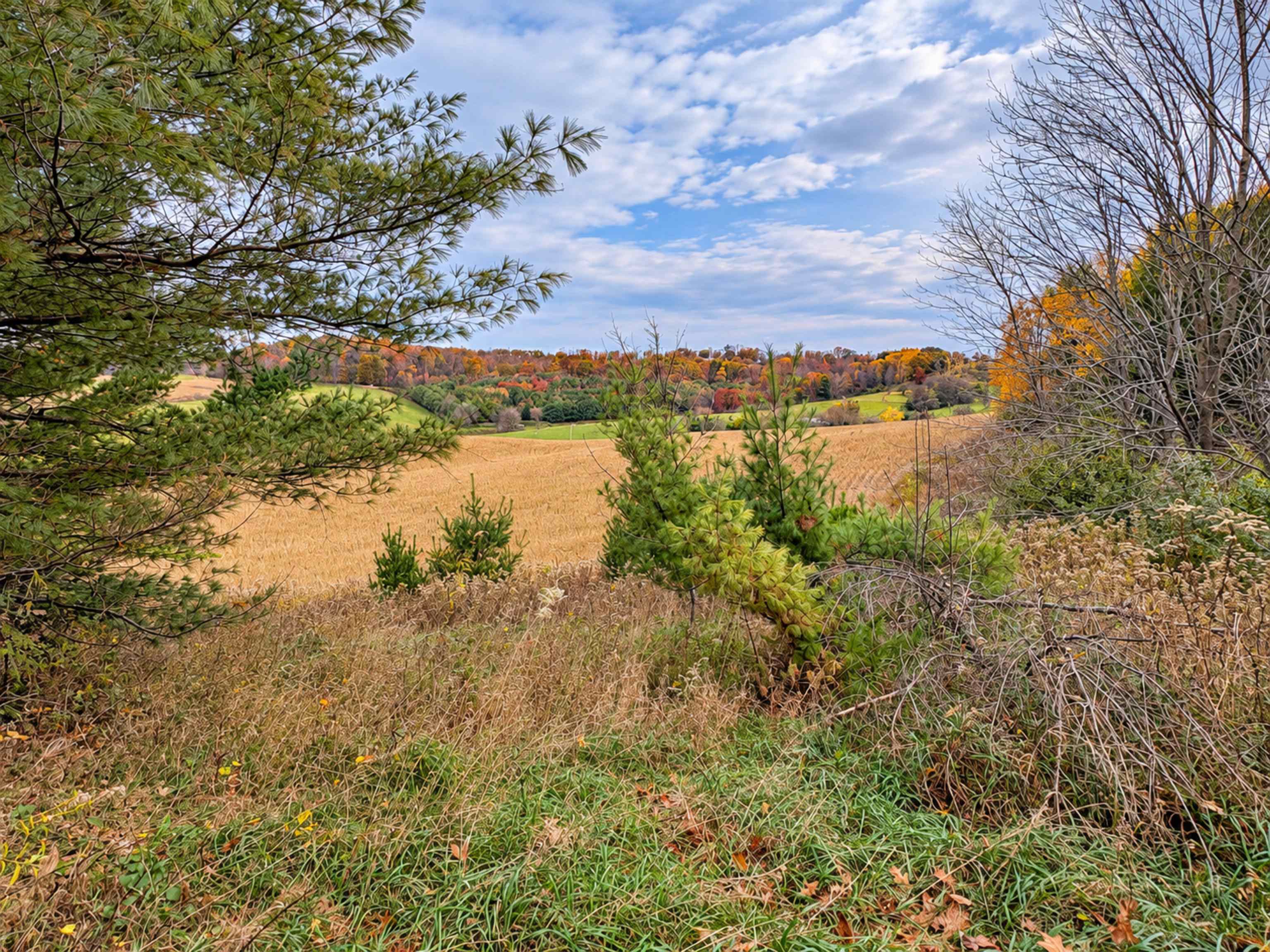 35 acres Outlook Road Road