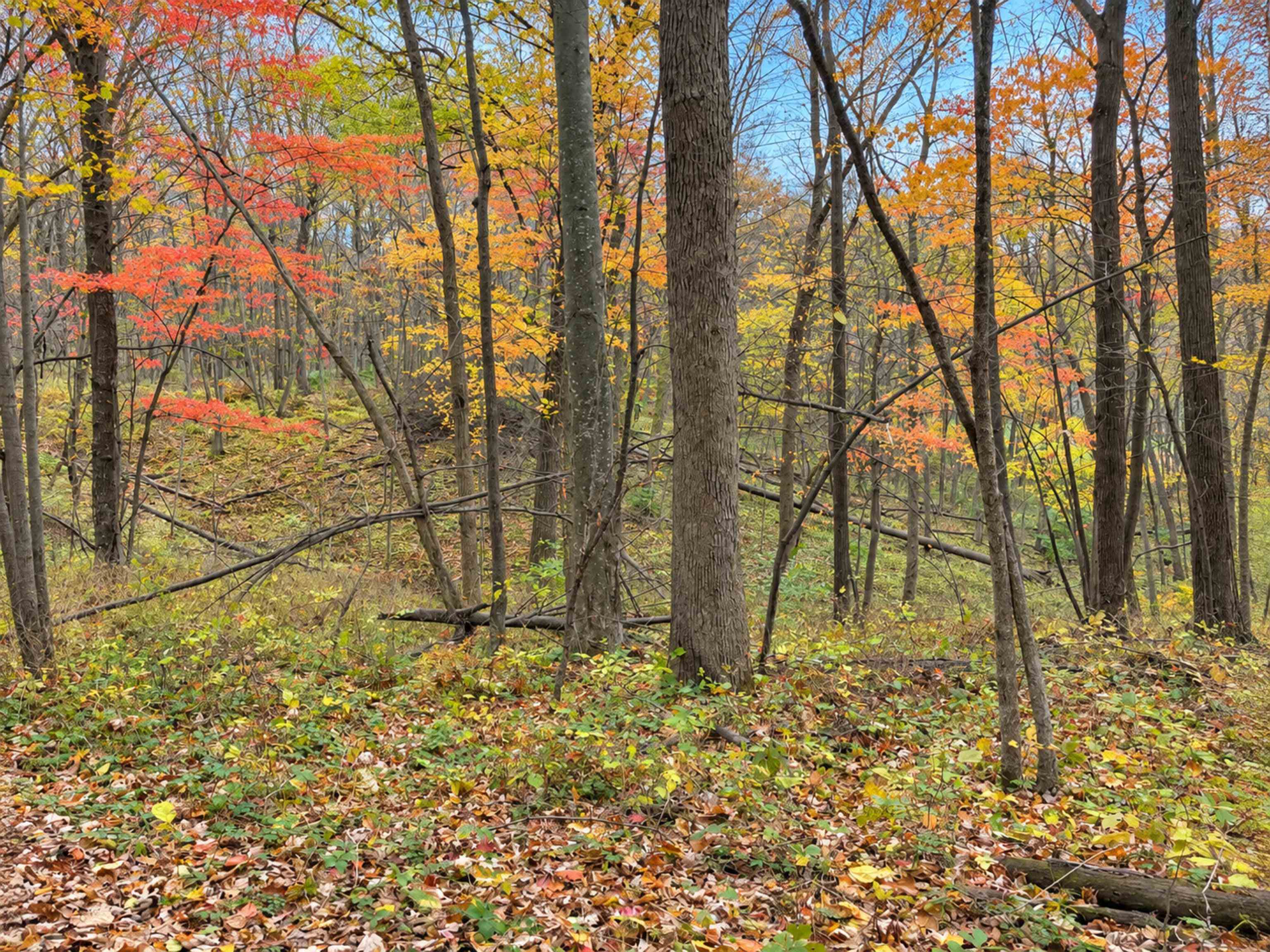 35 acres Outlook Road Road
