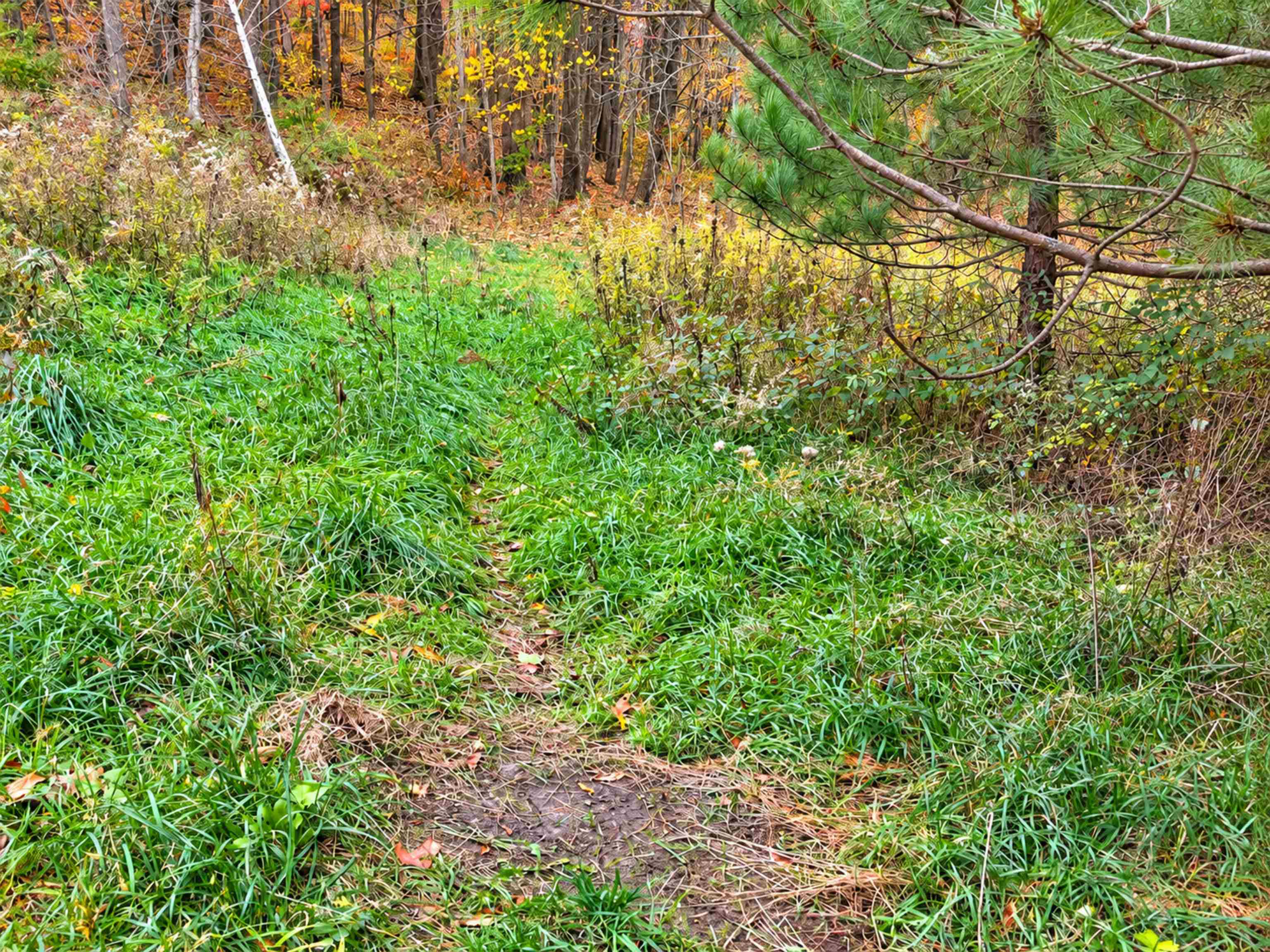 35 acres Outlook Road Road