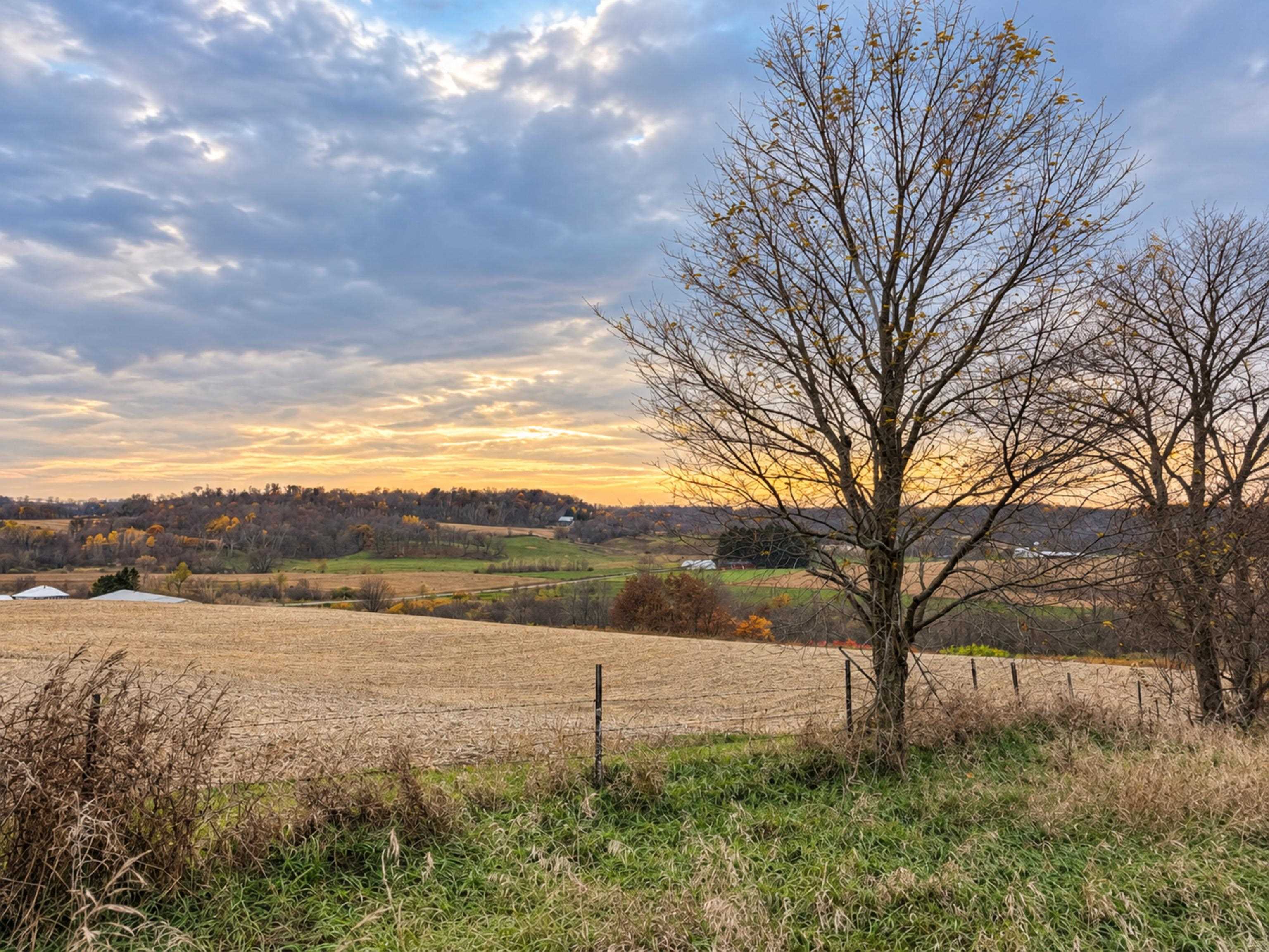 35 acres Outlook Road Road