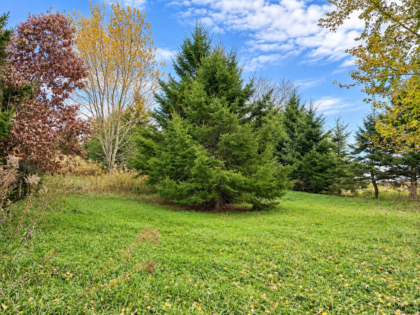 35 acres Outlook Road Road