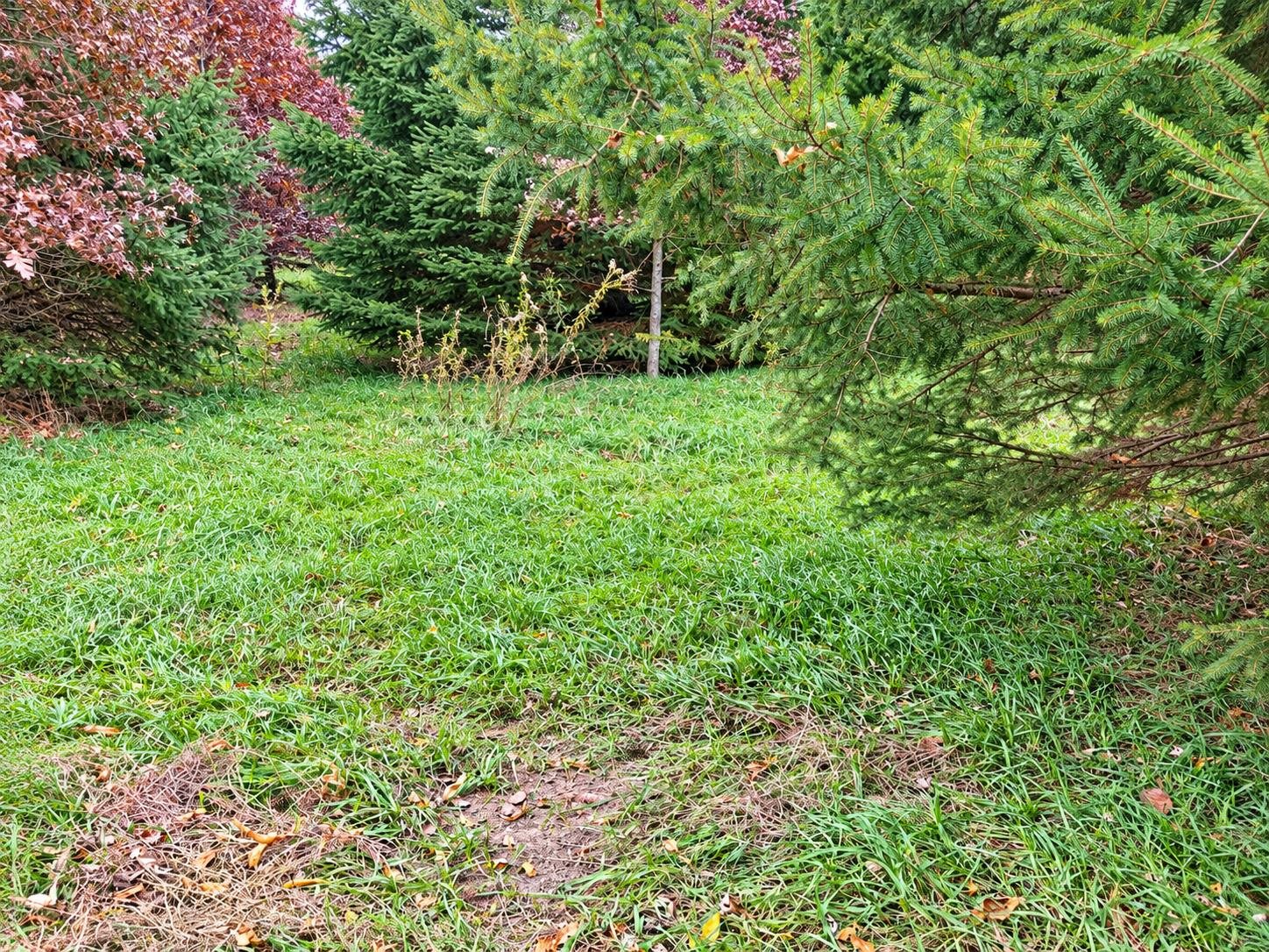 35 acres Outlook Road Road